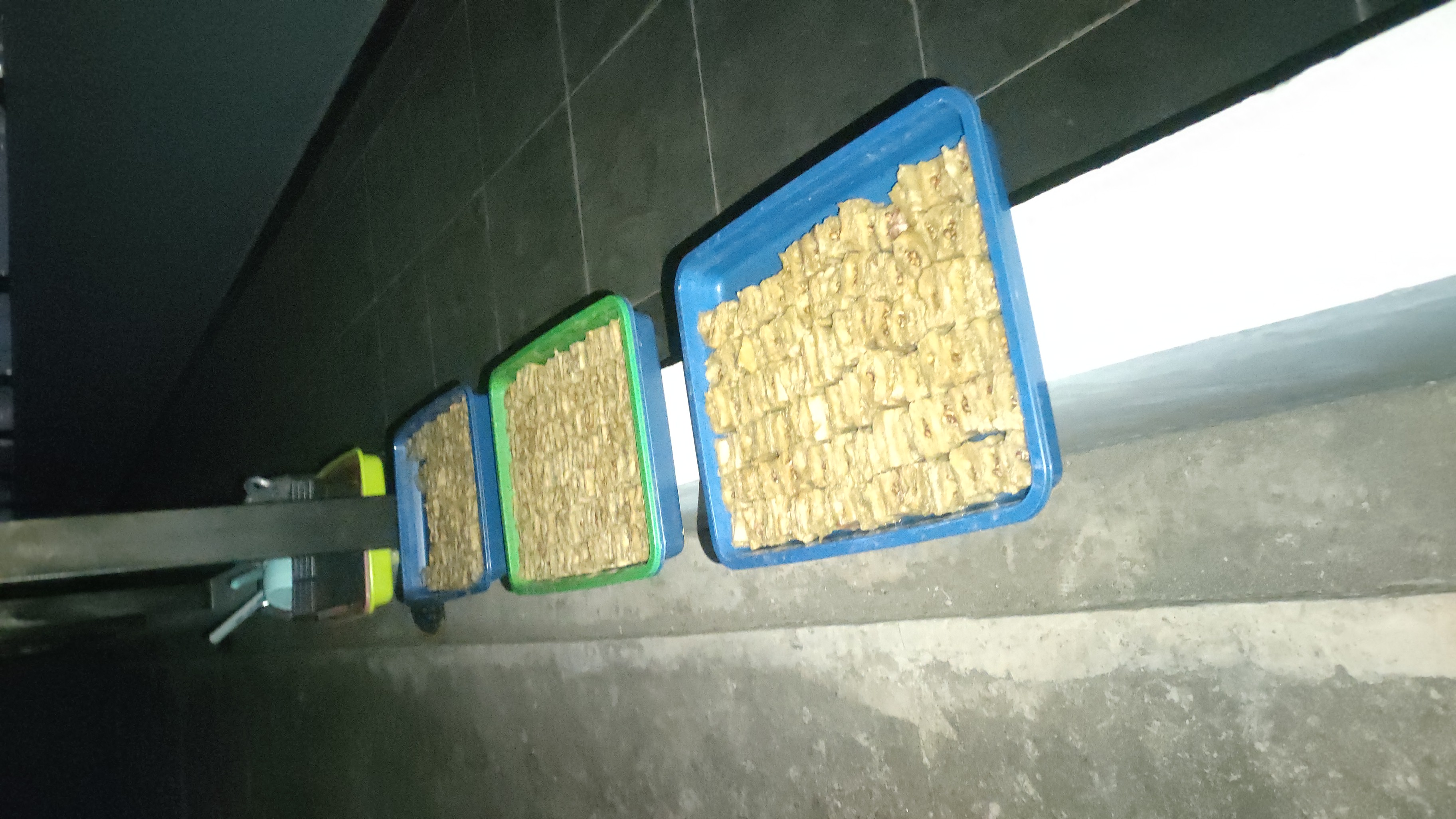 KEBUN SMKN 74 JAGAKARSA JAKARTA SELATAN - Gambar 388