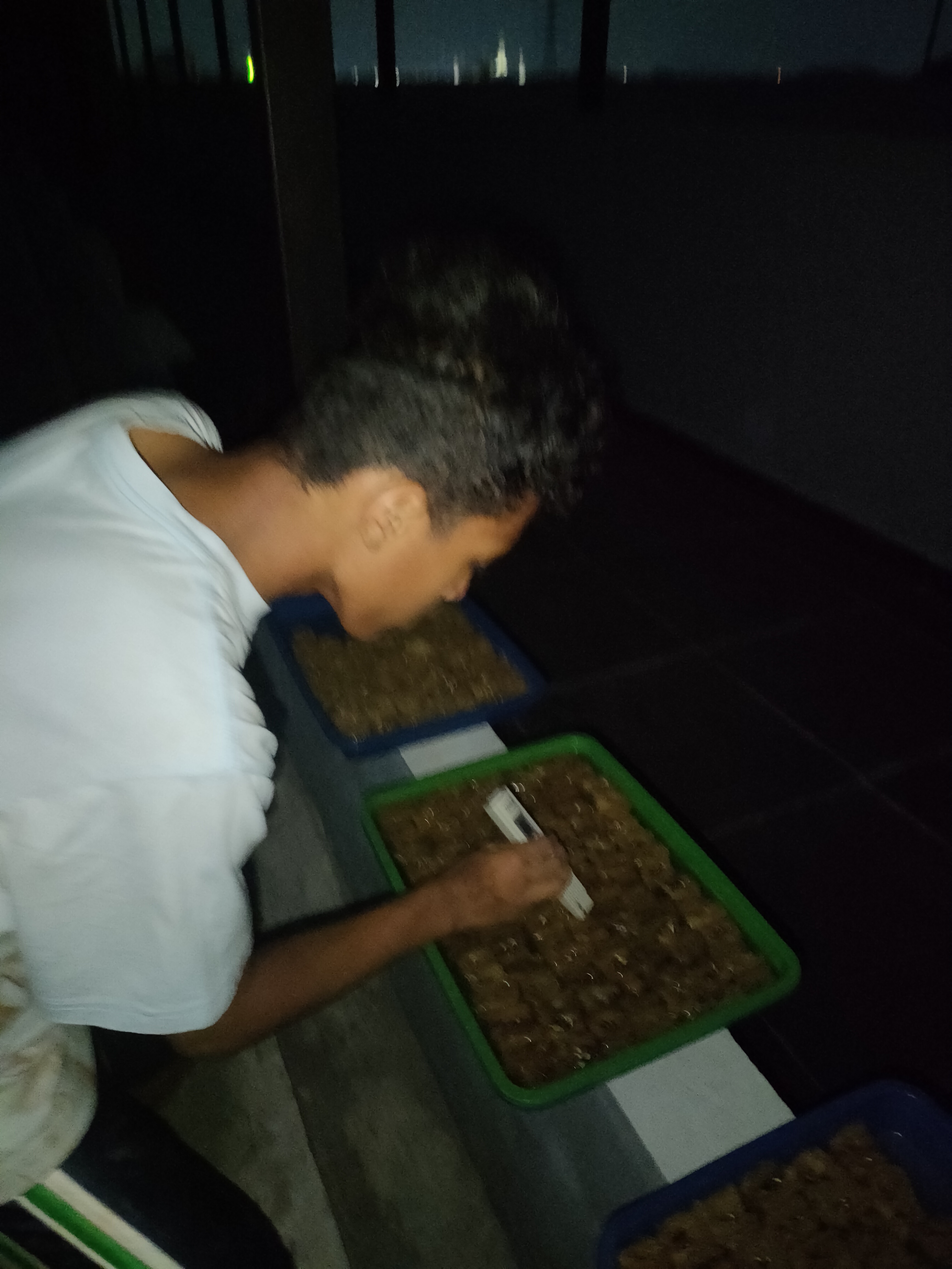 KEBUN SMKN 74 JAGAKARSA JAKARTA SELATAN - Gambar 385