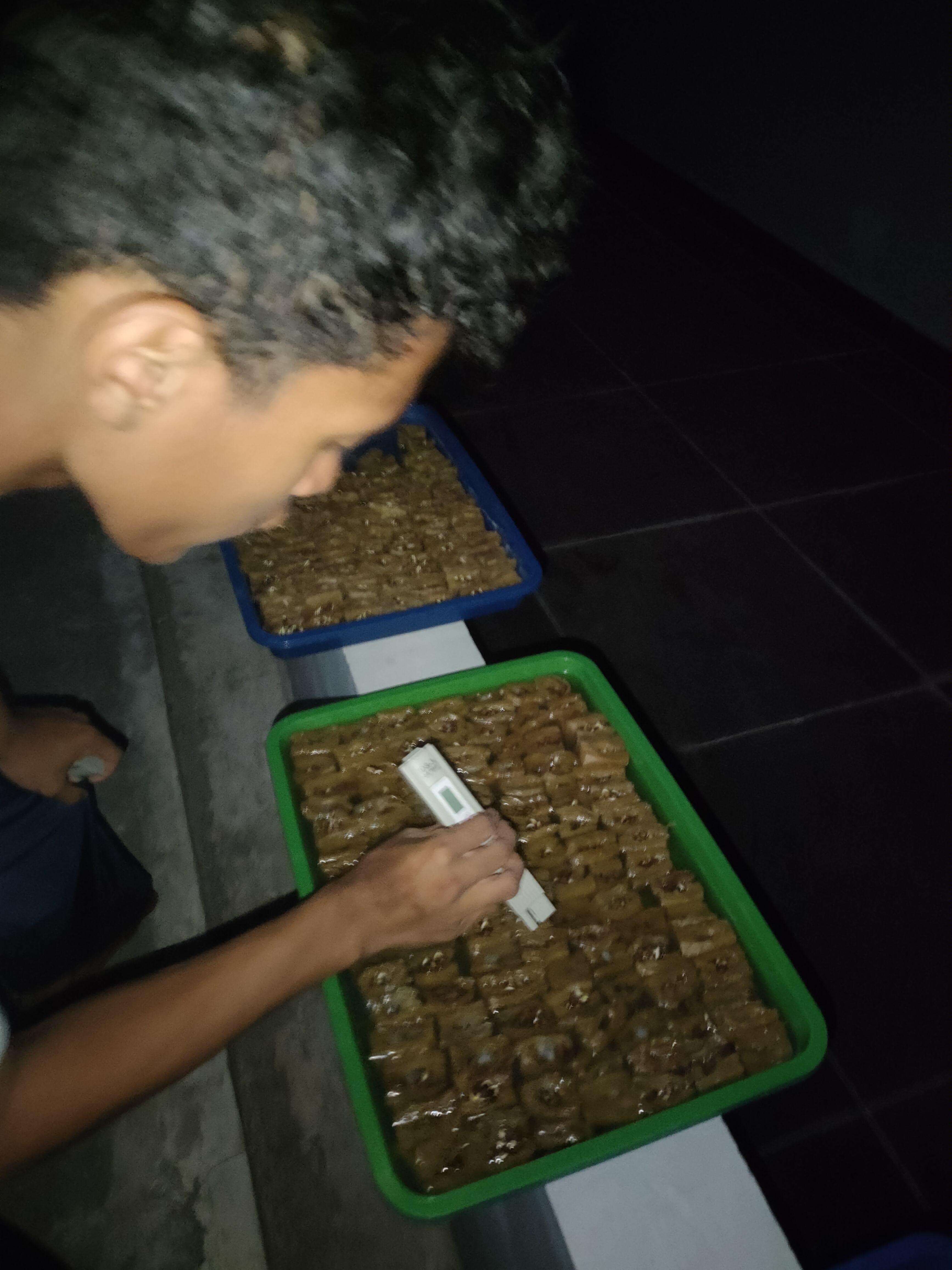 KEBUN SMKN 74 JAGAKARSA JAKARTA SELATAN - Gambar 384