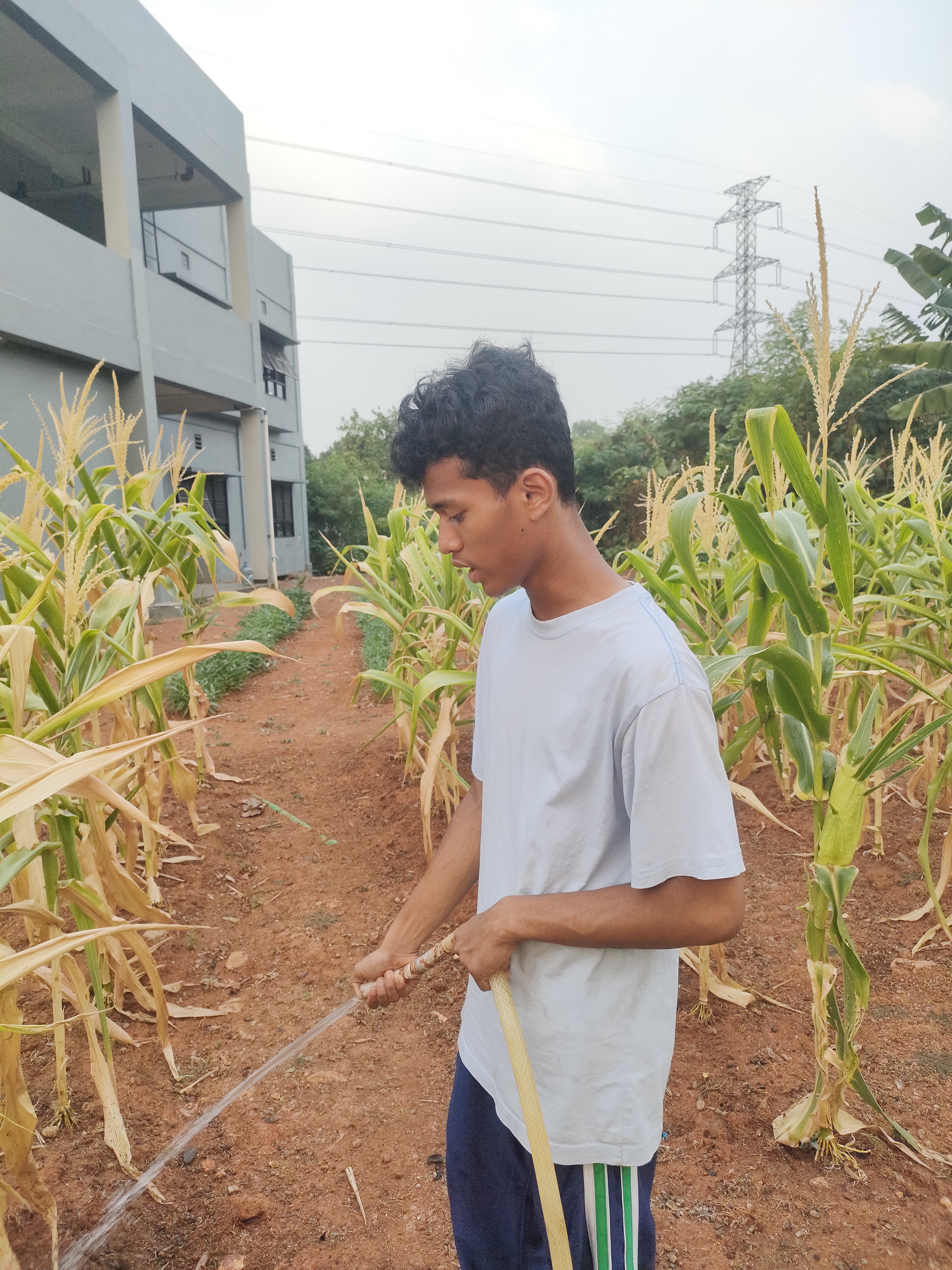 KEBUN SMKN 74 JAGAKARSA JAKARTA SELATAN - Gambar 381