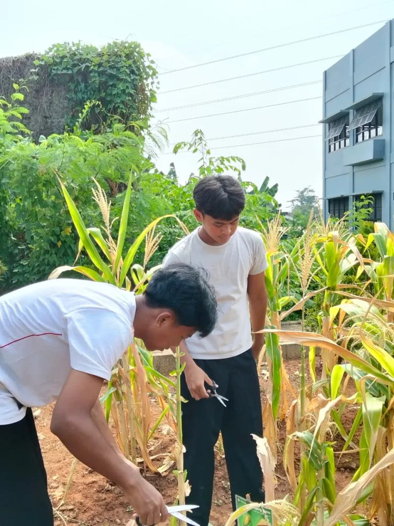 KEBUN SMKN 74 JAGAKARSA JAKARTA SELATAN - Gambar 374