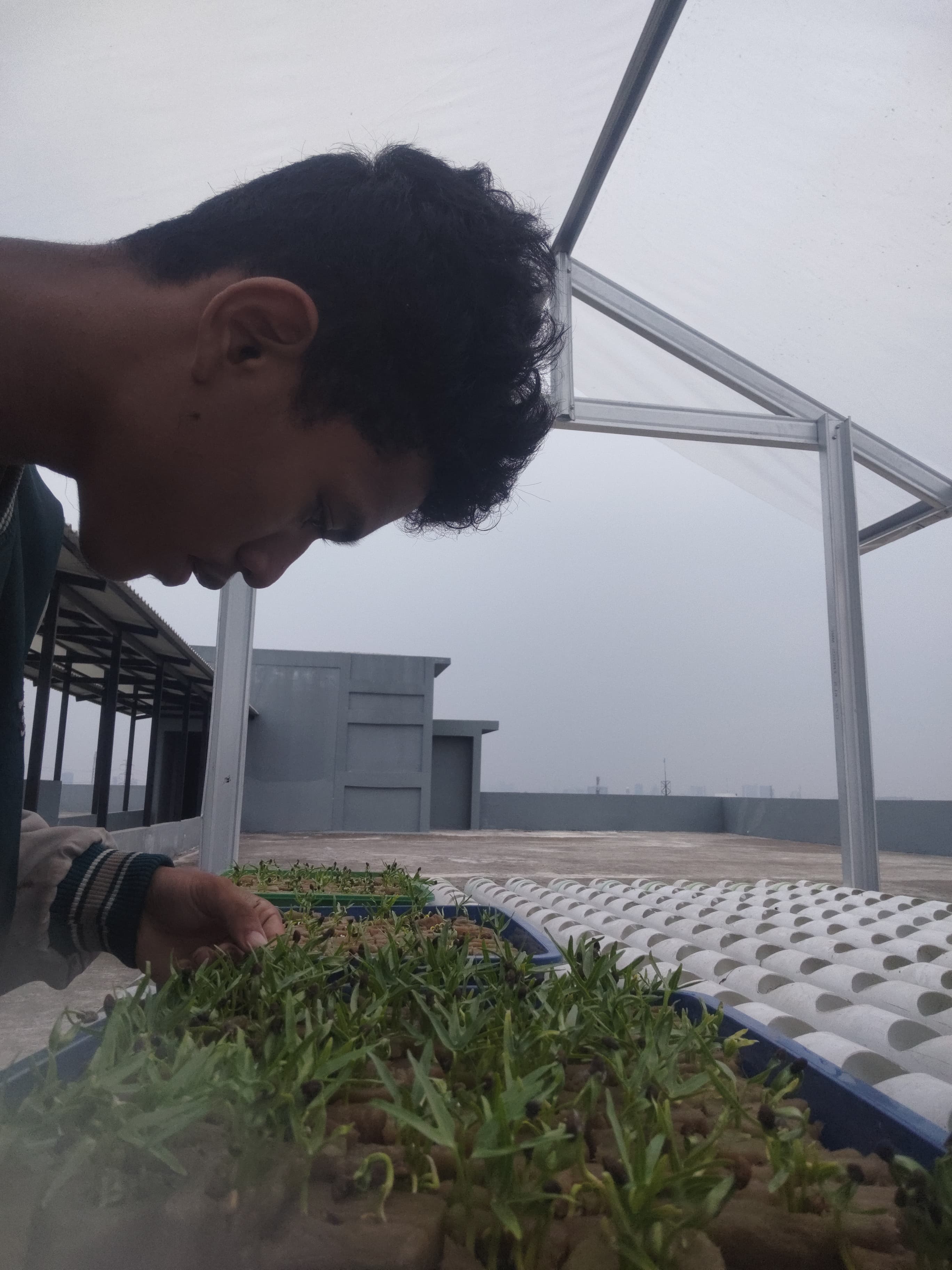 KEBUN SMKN 74 JAGAKARSA JAKARTA SELATAN - Gambar 372