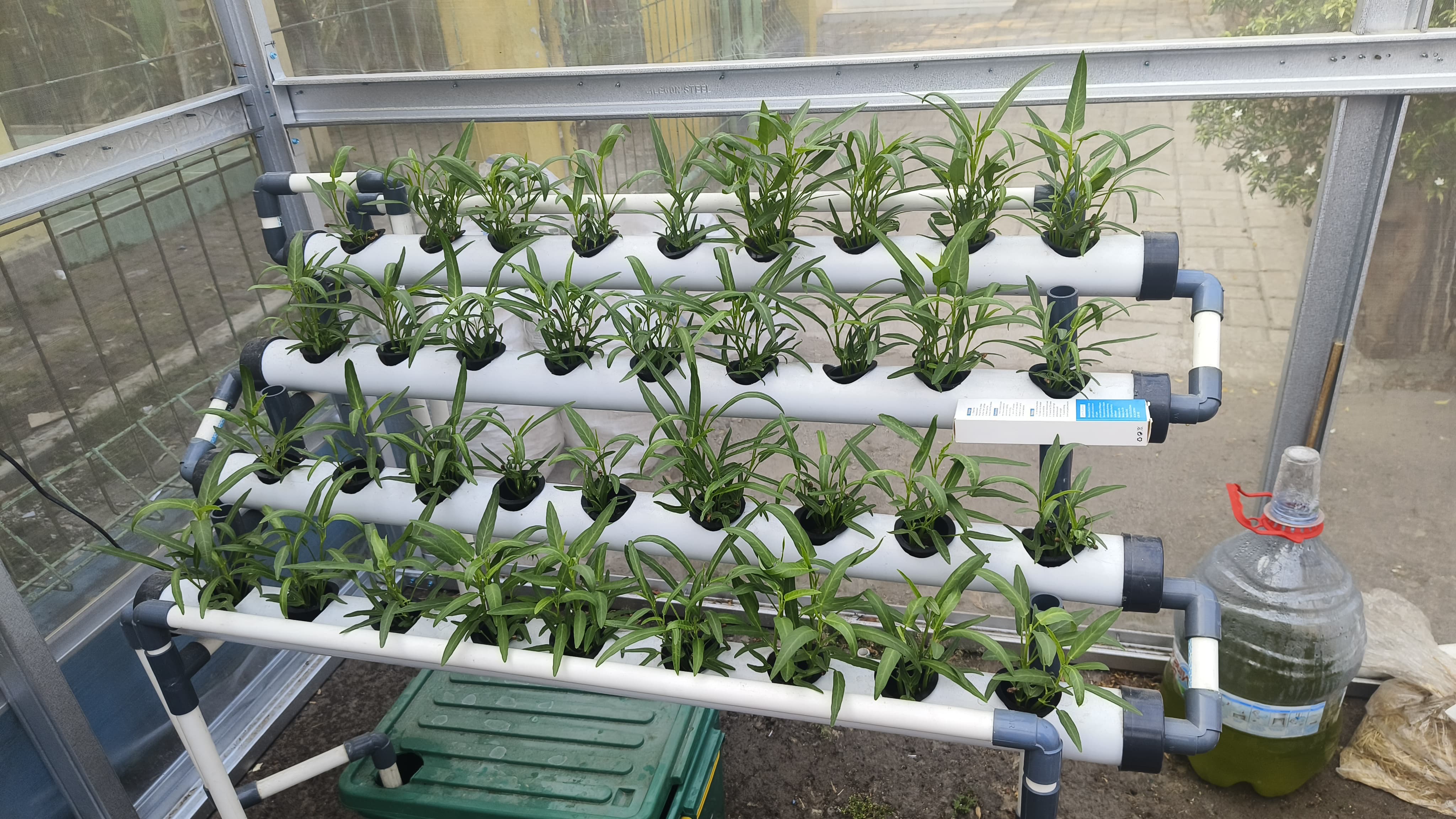 Lahan Urban Farming SDN Cipulir 03 - Gambar 91