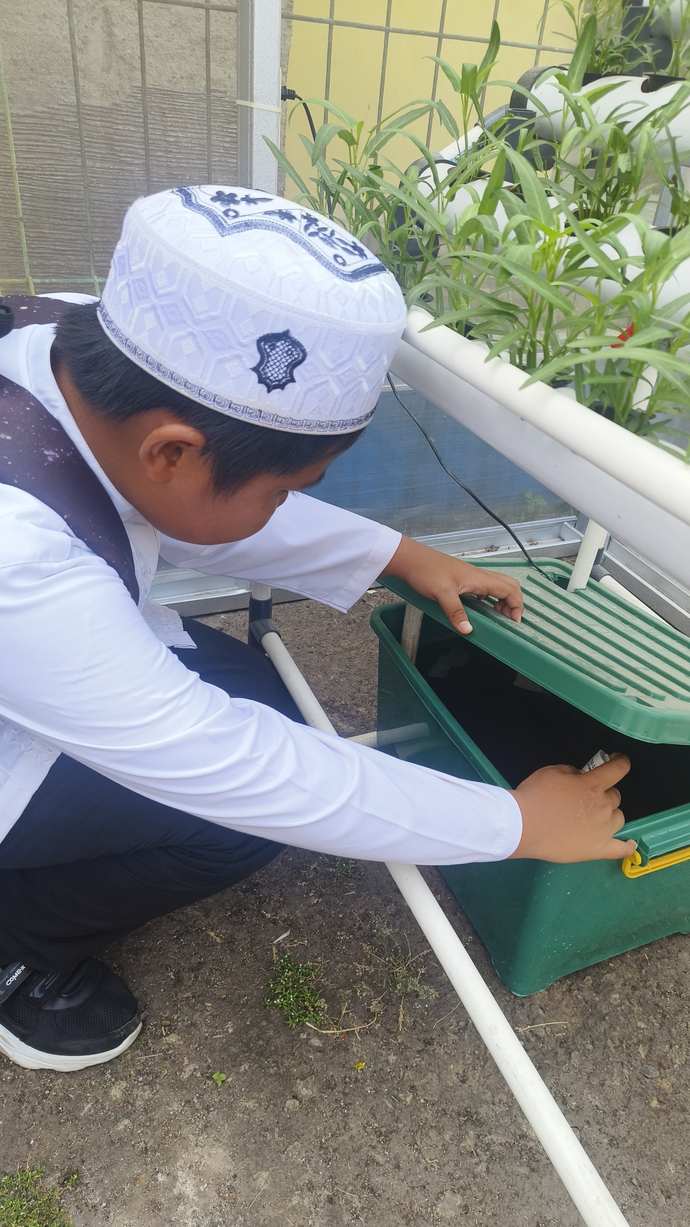 Lahan Urban Farming SDN Cipulir 03 - Gambar 89