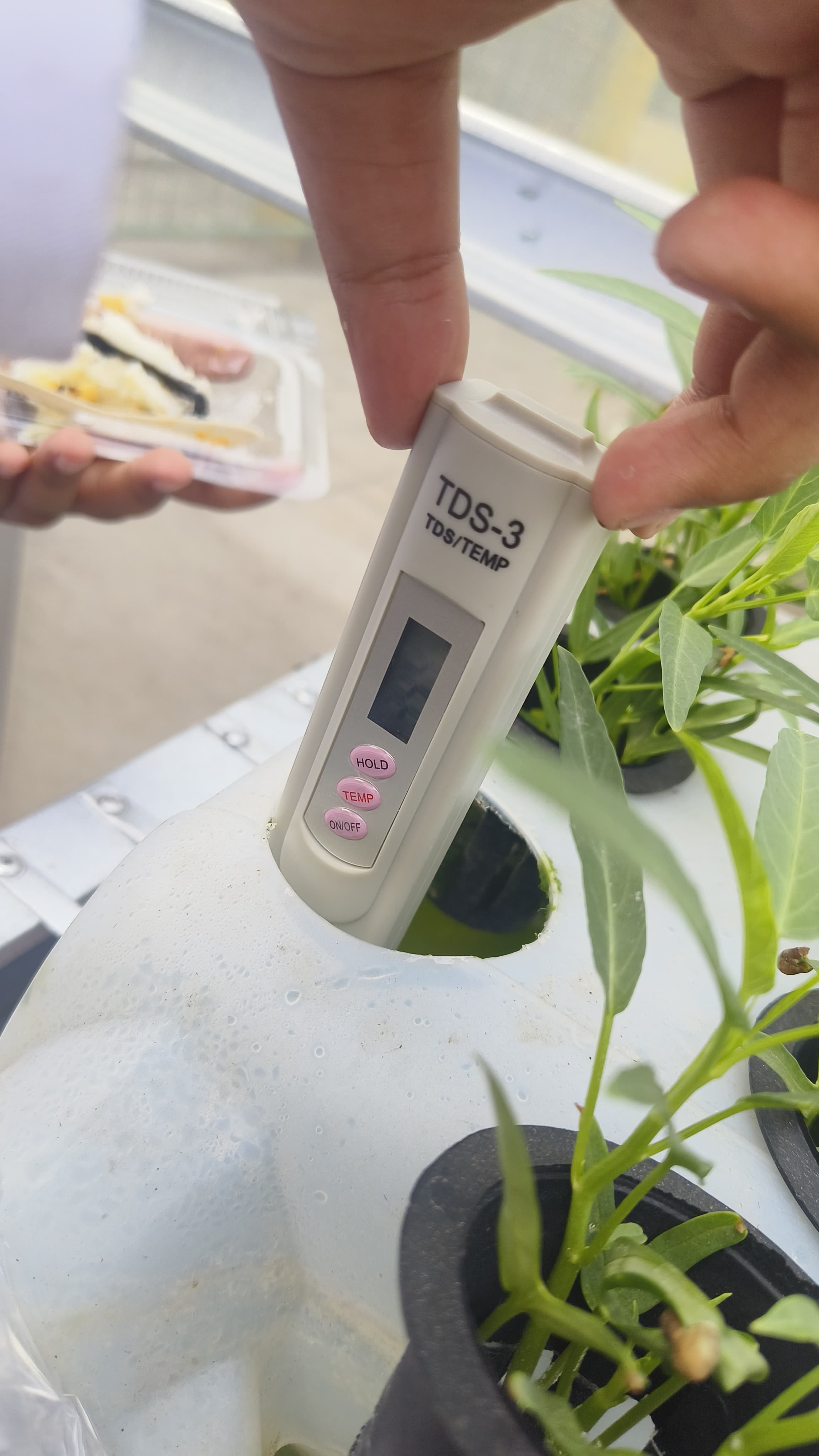 Lahan Urban Farming SDN Cipulir 03 - Gambar 90