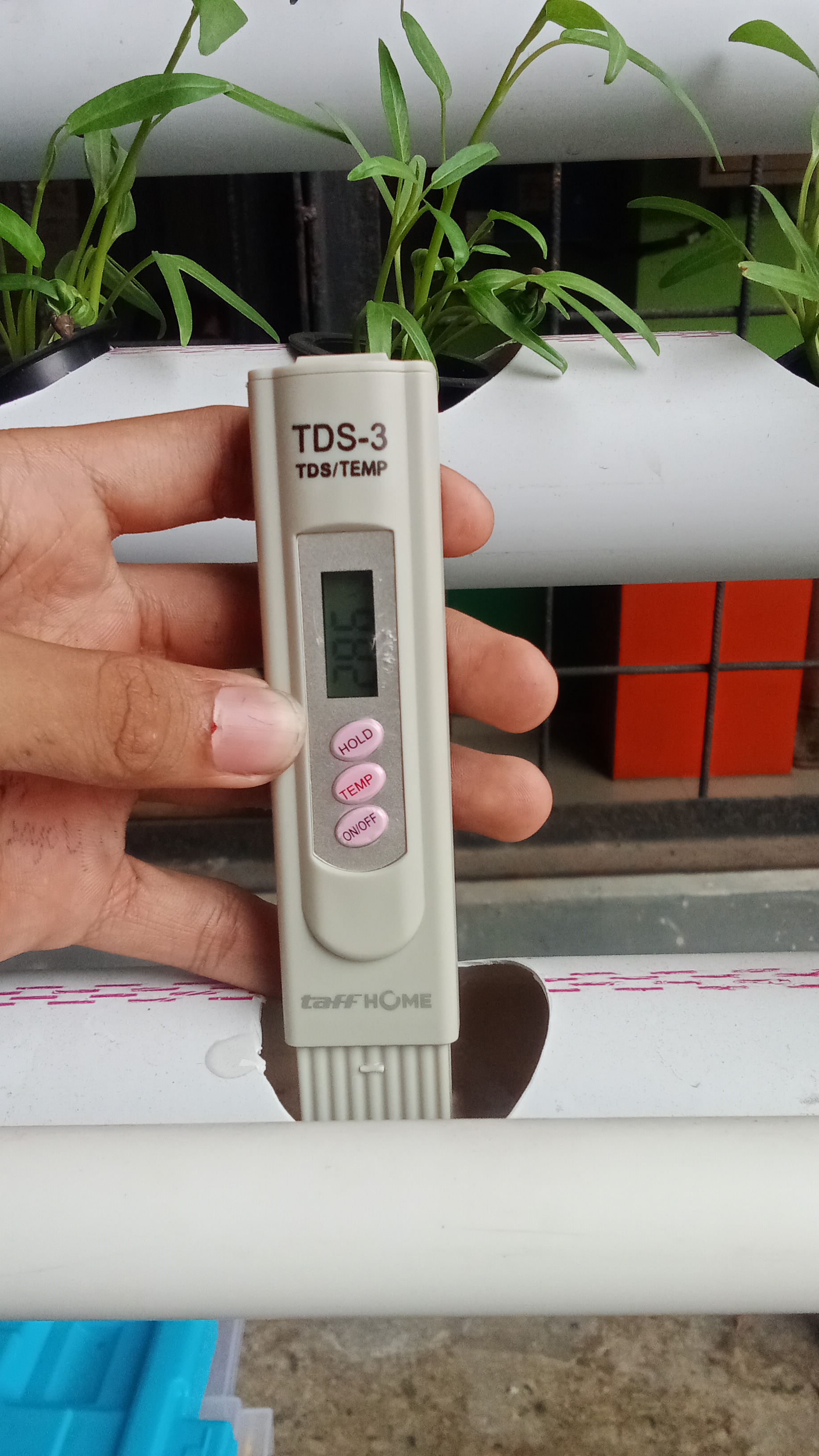 Lahan Urban Farming SMKN 41 Jakarta - Gambar 75