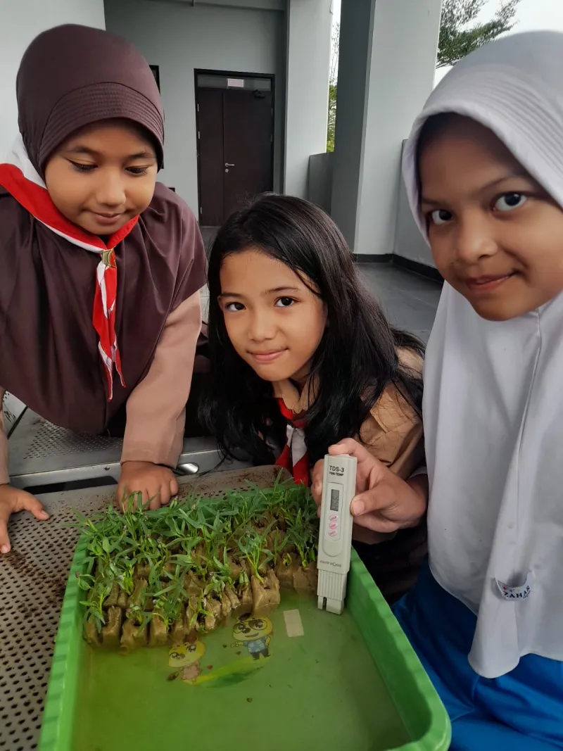 Lahan Urban Farming SDN Cipete Selatan 03 - Gambar 126