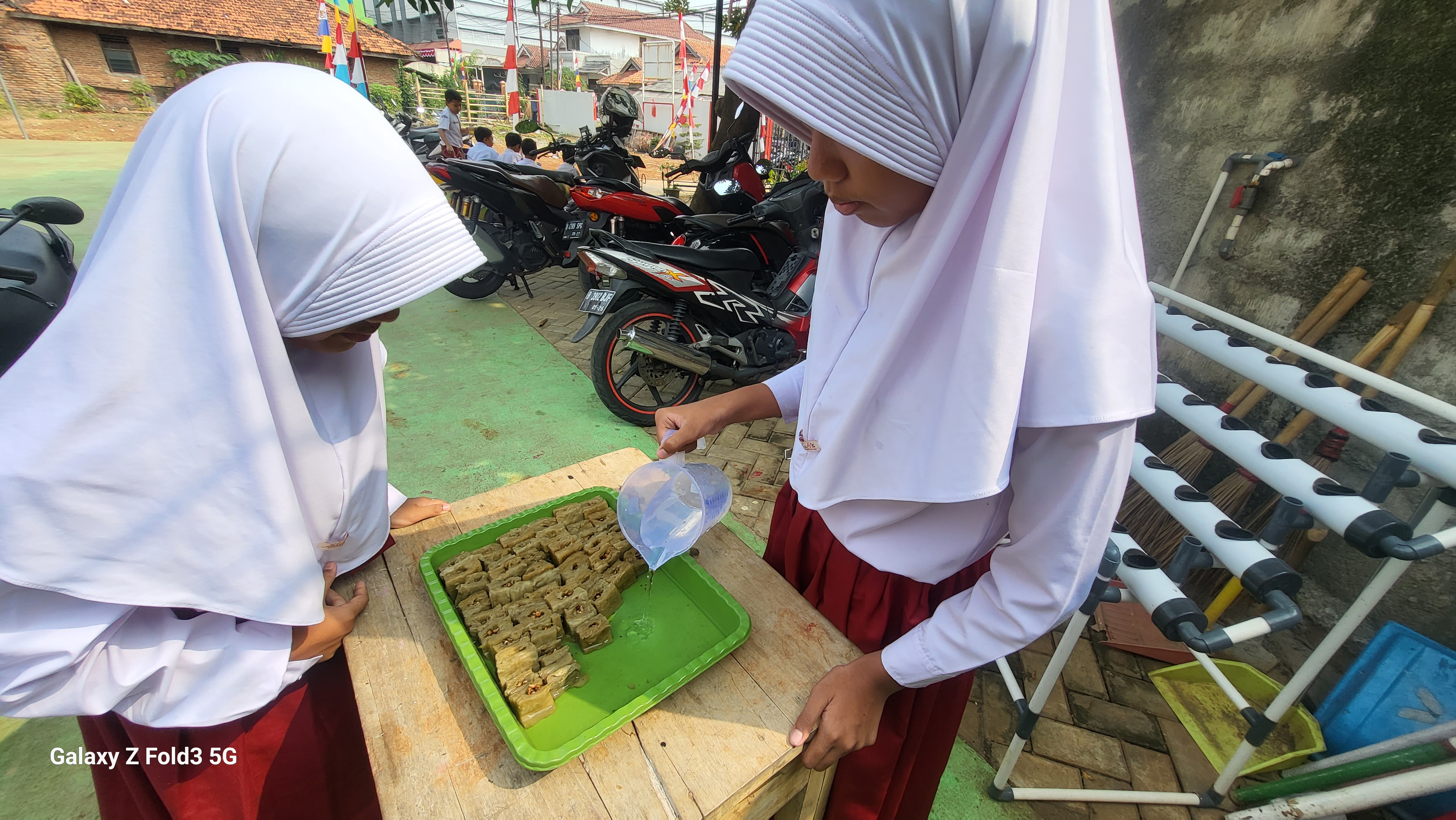 Lahan Urban Farming SDN Bintaro 09 - Gambar 200