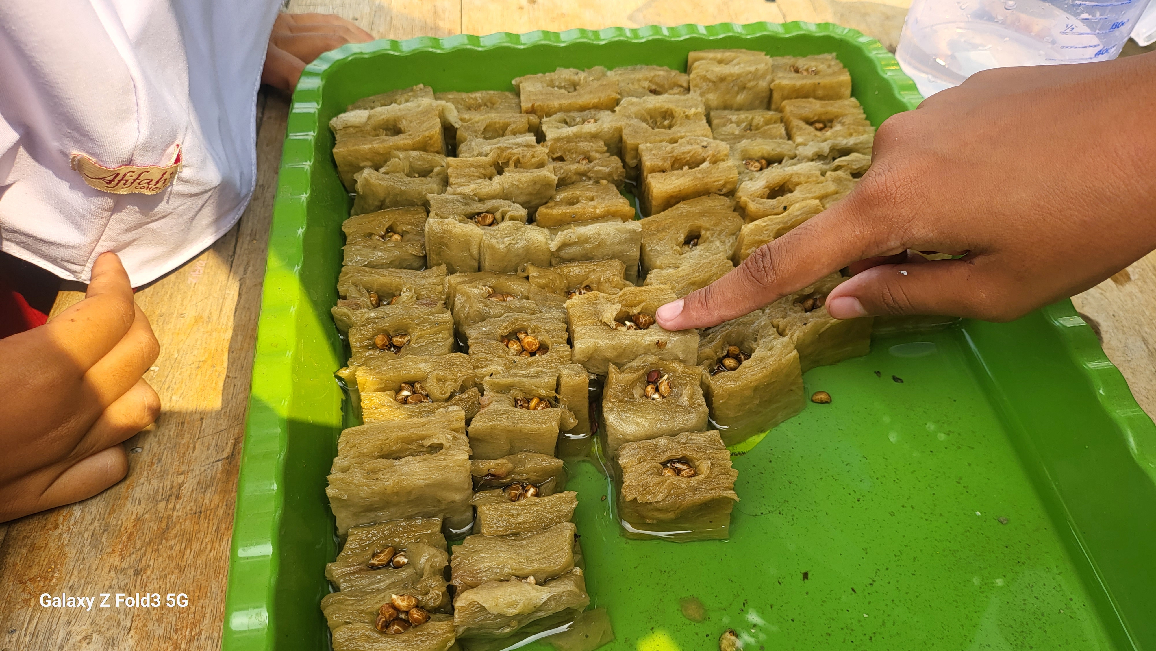 Lahan Urban Farming SDN Bintaro 09 - Gambar 198