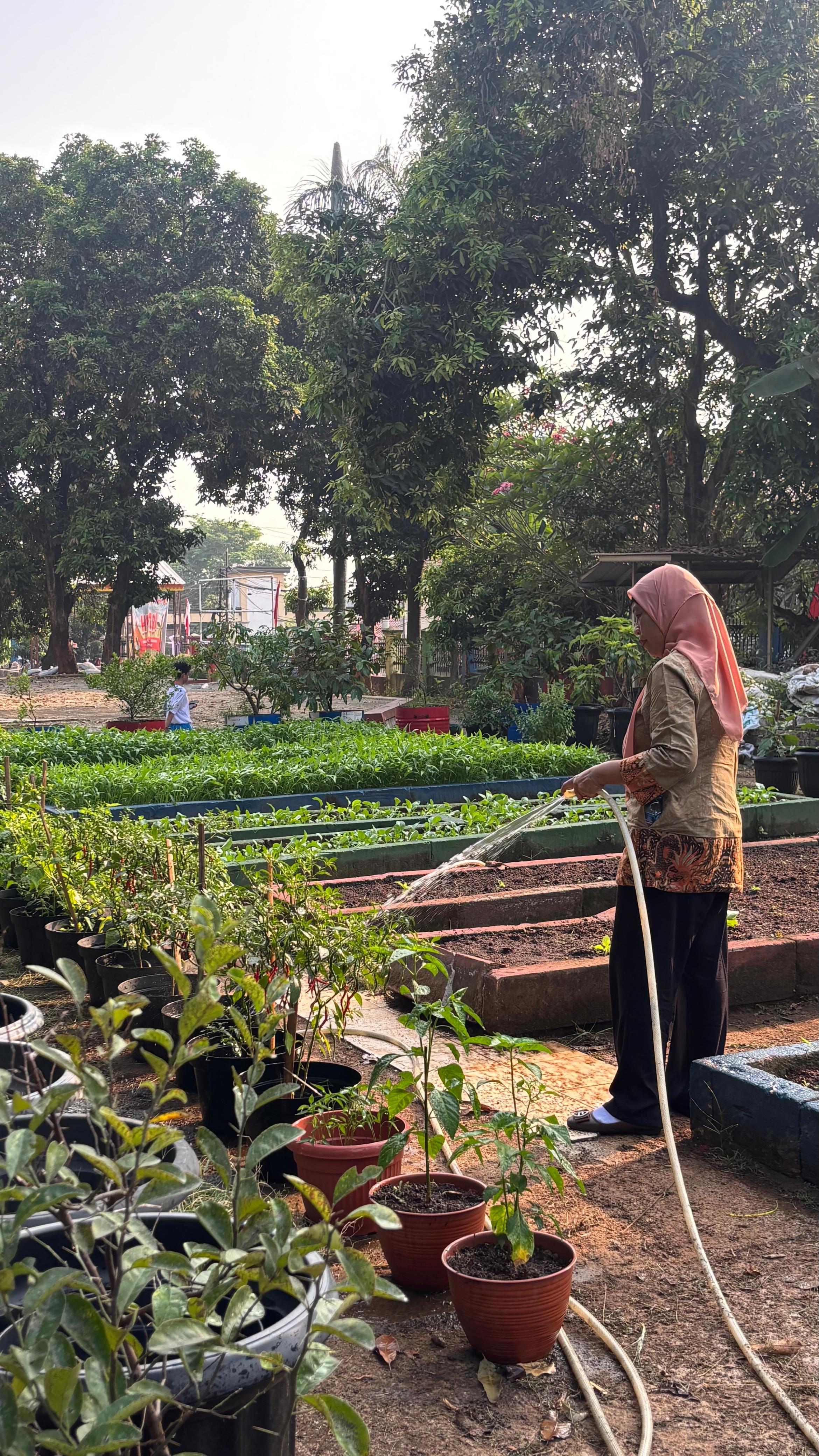 Lahan Urban Farming SMAN 109 Jakarta - Gambar 246