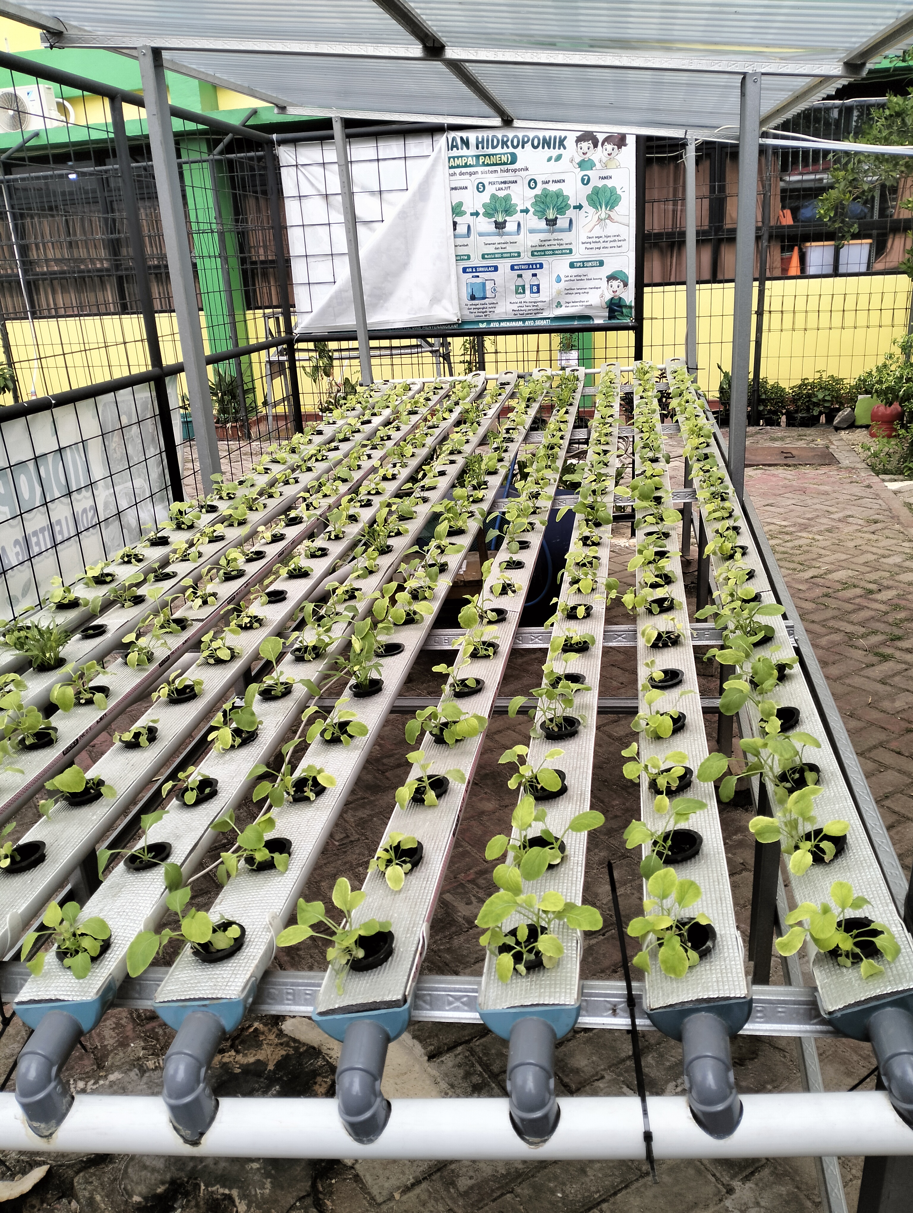 Lahan Urban Farming SDN Lenteng Agung 07 Jakarta - Gambar 107