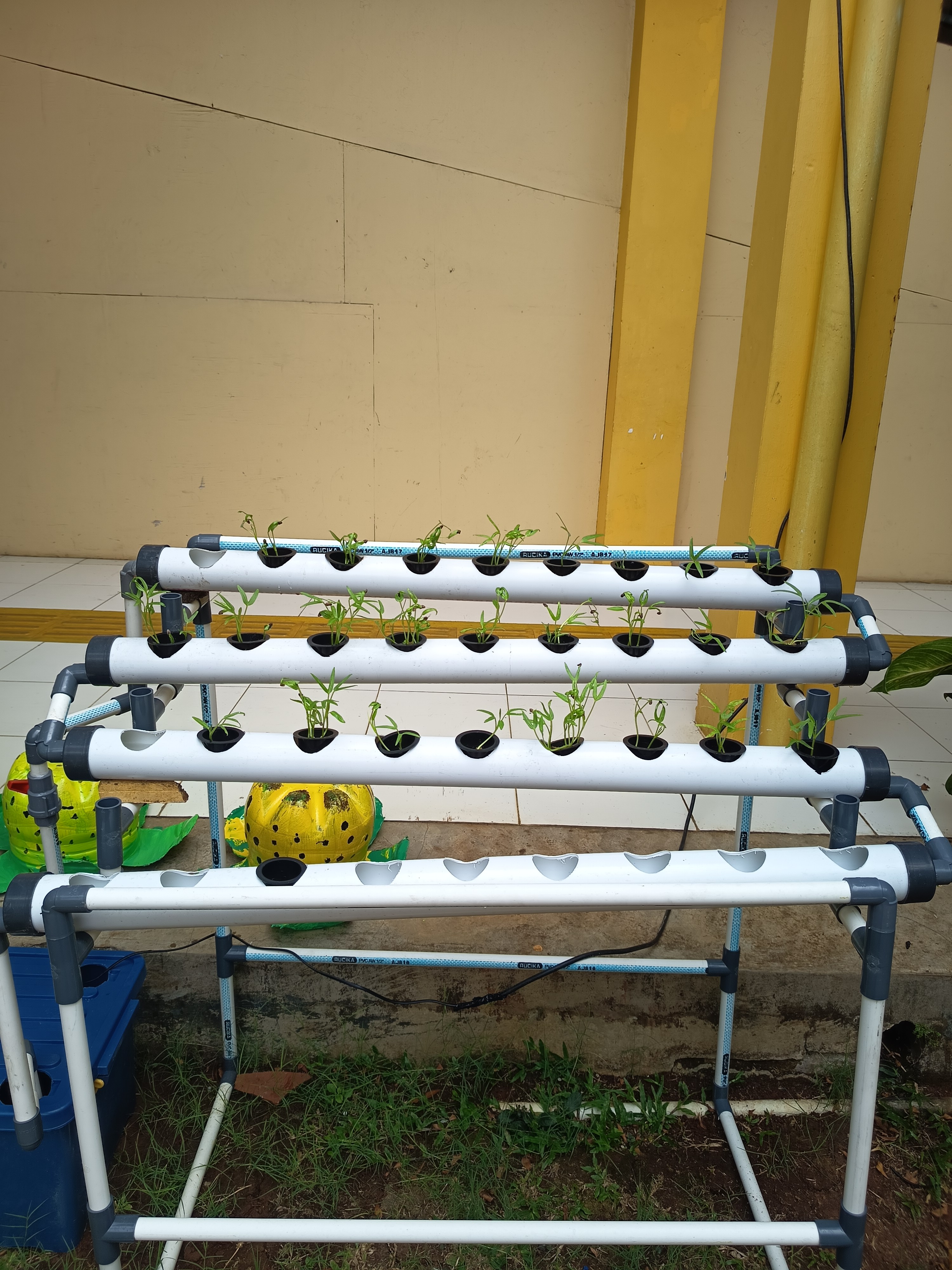 Lahan Urban Farming SLB A Pembina Tingkat Nasional - Gambar 128