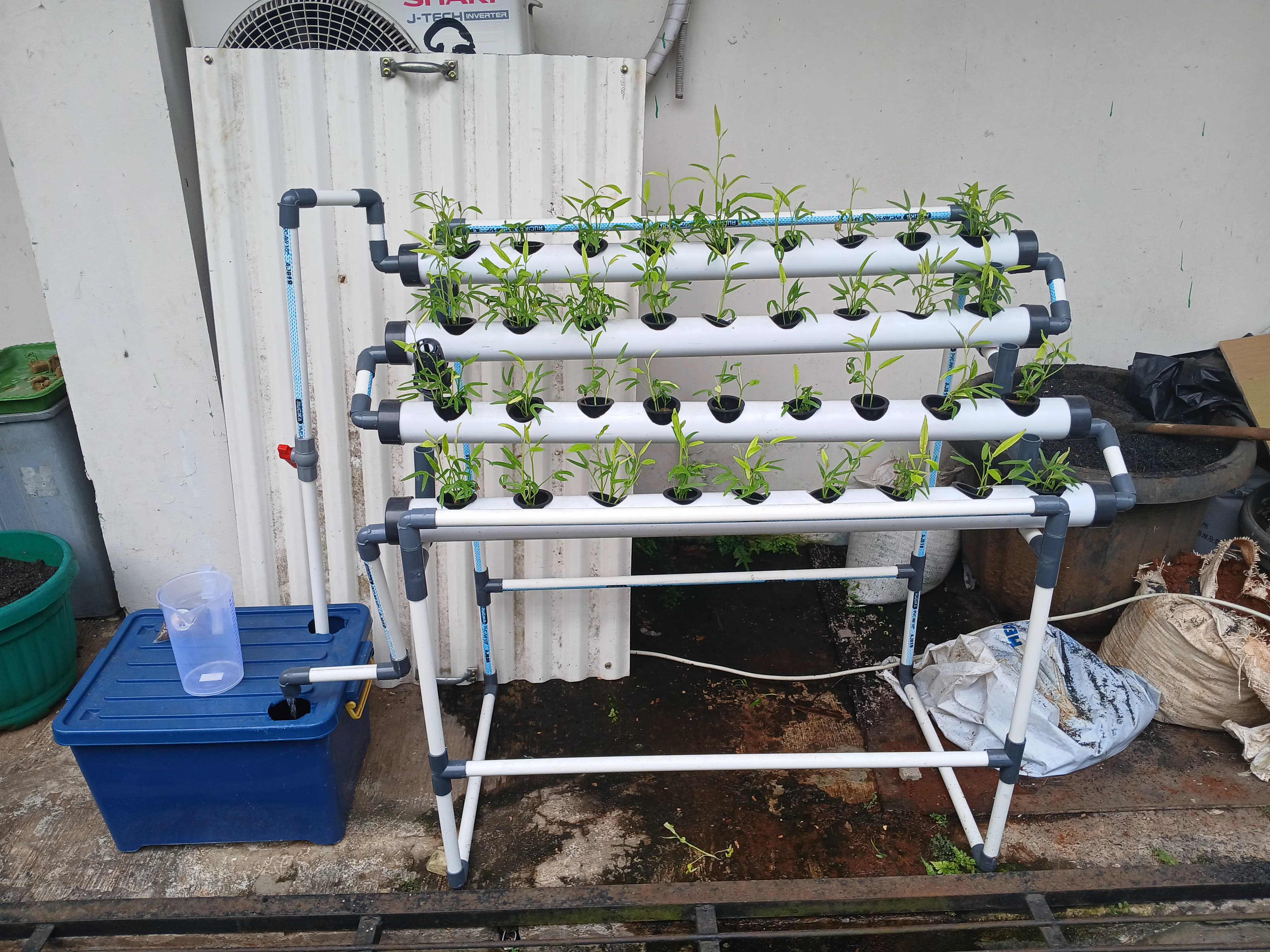 Lahan Urban Farming SMKN 62 Jakarta - Gambar 55