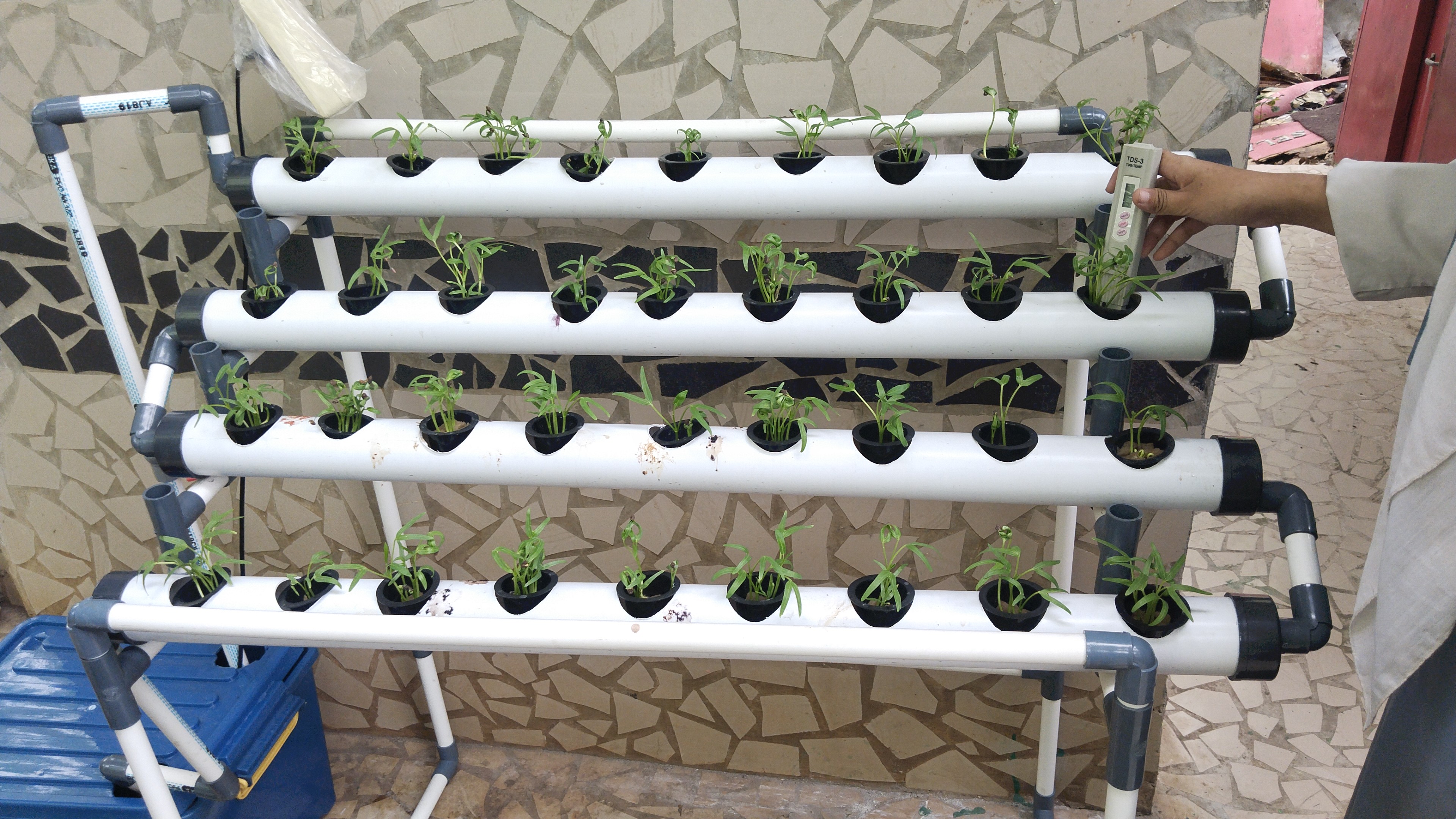 Lahan Urban Farming SMKN 20 Jakarta - Gambar 120
