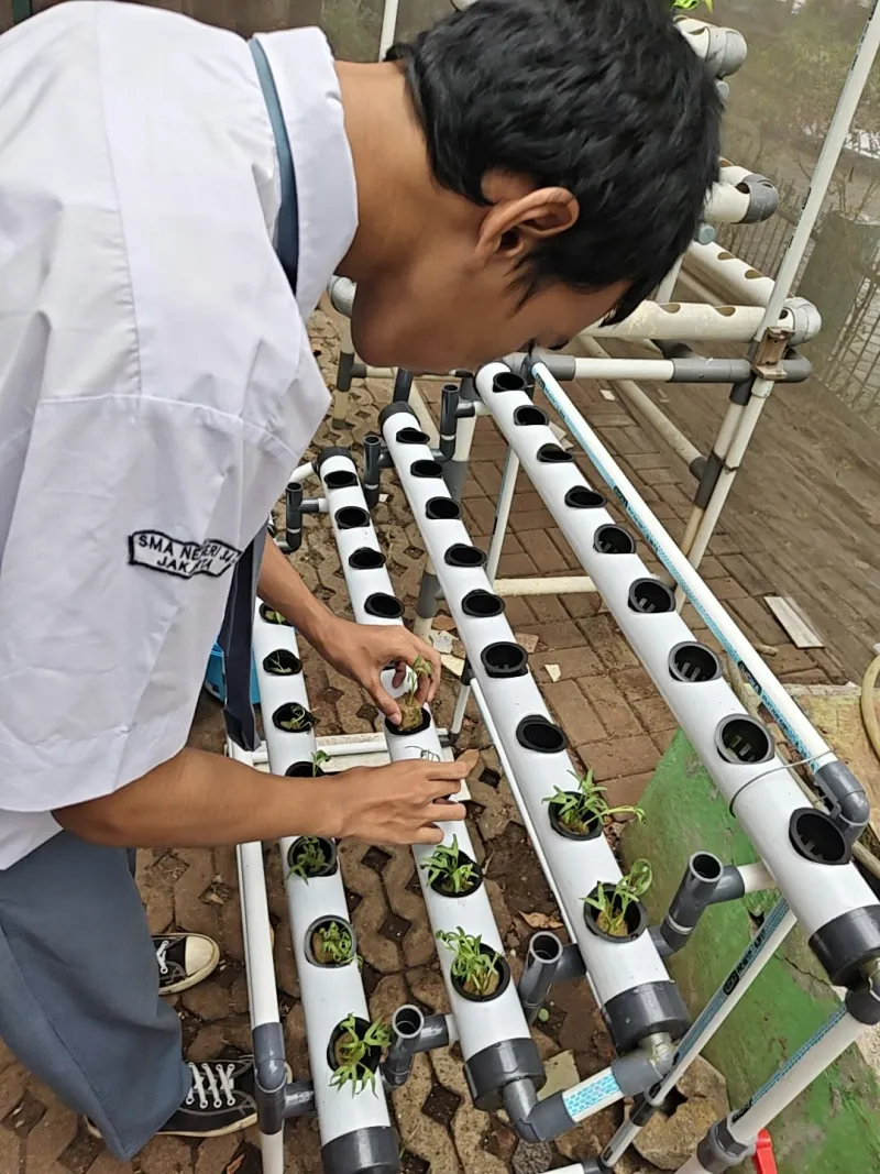 Lahan Urban Farming SMAN 34 Jakarta - Gambar 90