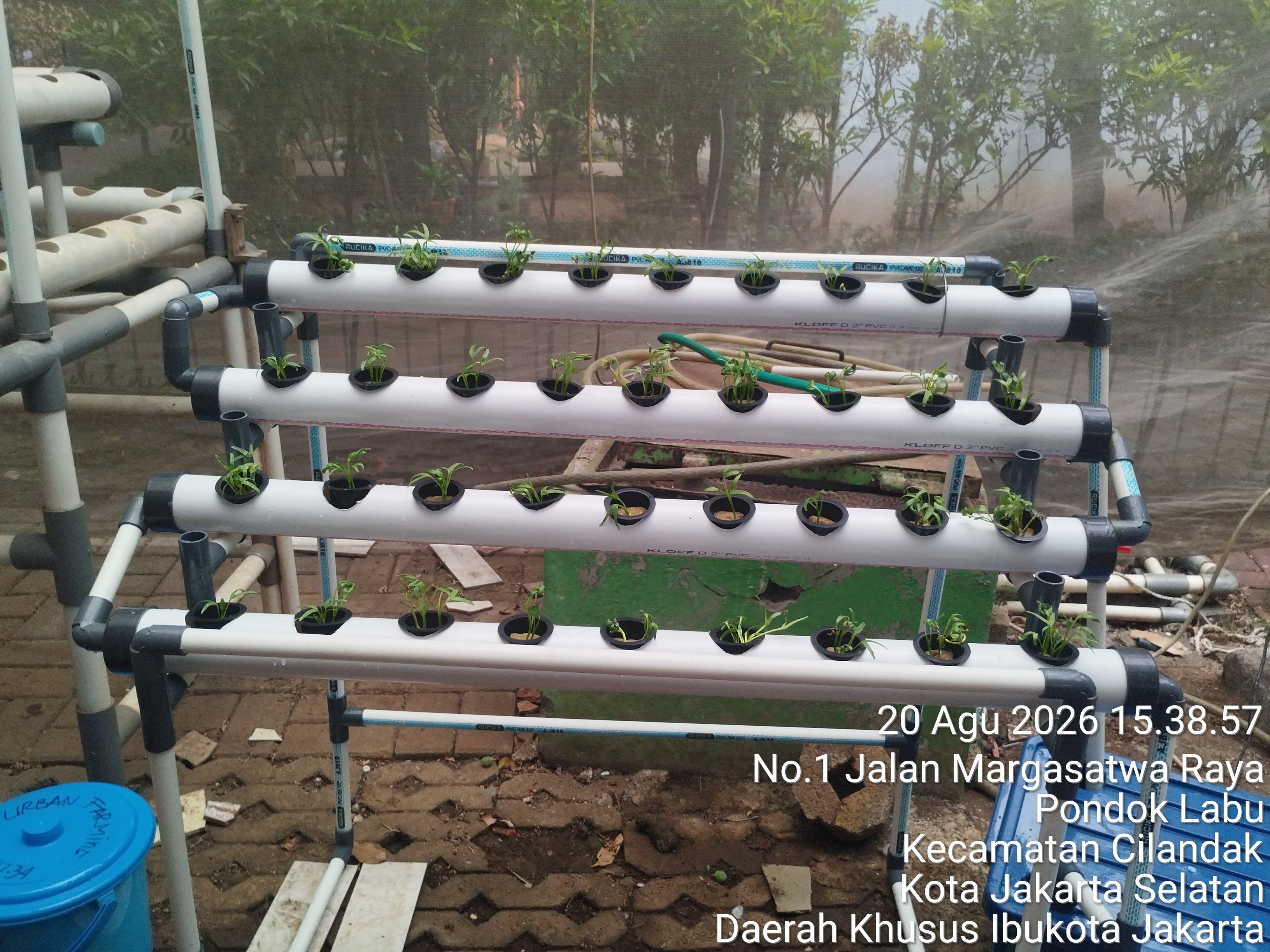 Lahan Urban Farming SMAN 34 Jakarta - Gambar 89