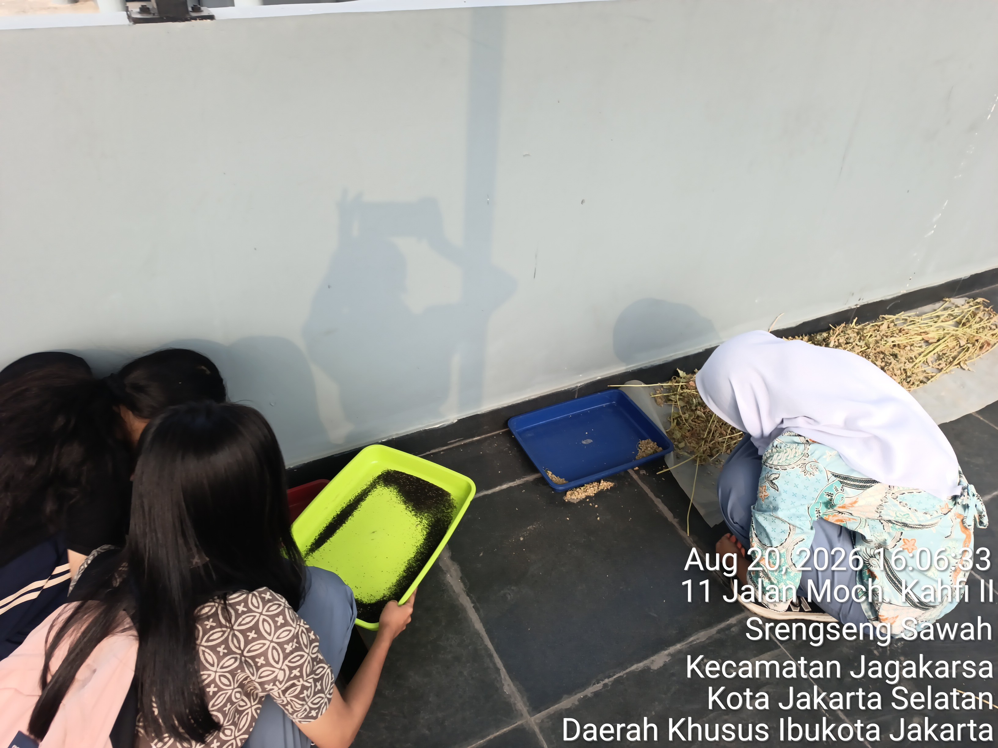 KEBUN SMKN 74 JAGAKARSA JAKARTA SELATAN - Gambar 358