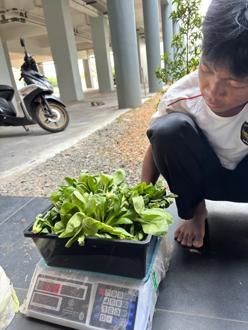 KEBUN SMKN 74 JAGAKARSA JAKARTA SELATAN - Gambar 350