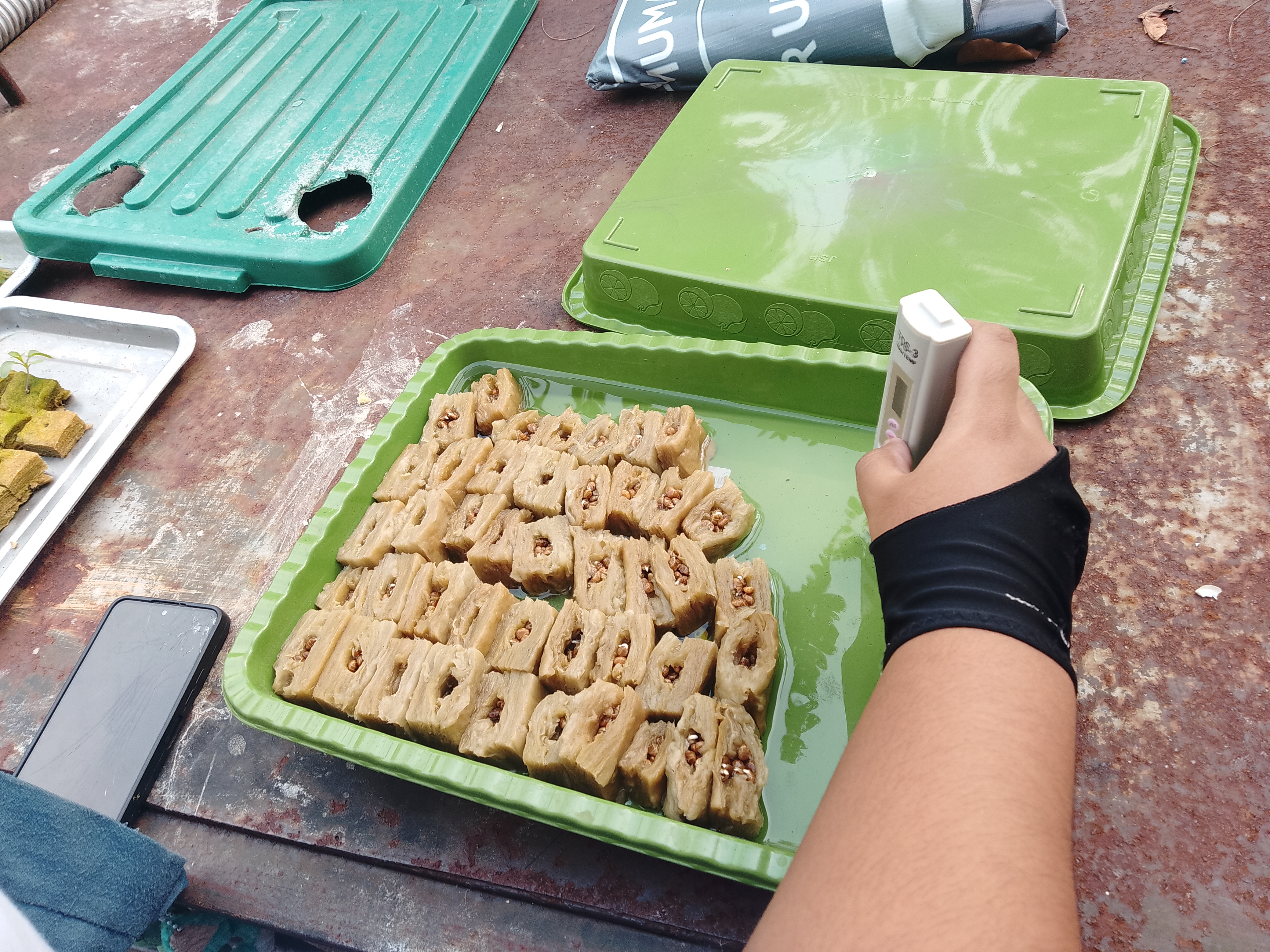Lahan Urban Farming SMKN 59 Jakarta - Gambar 250