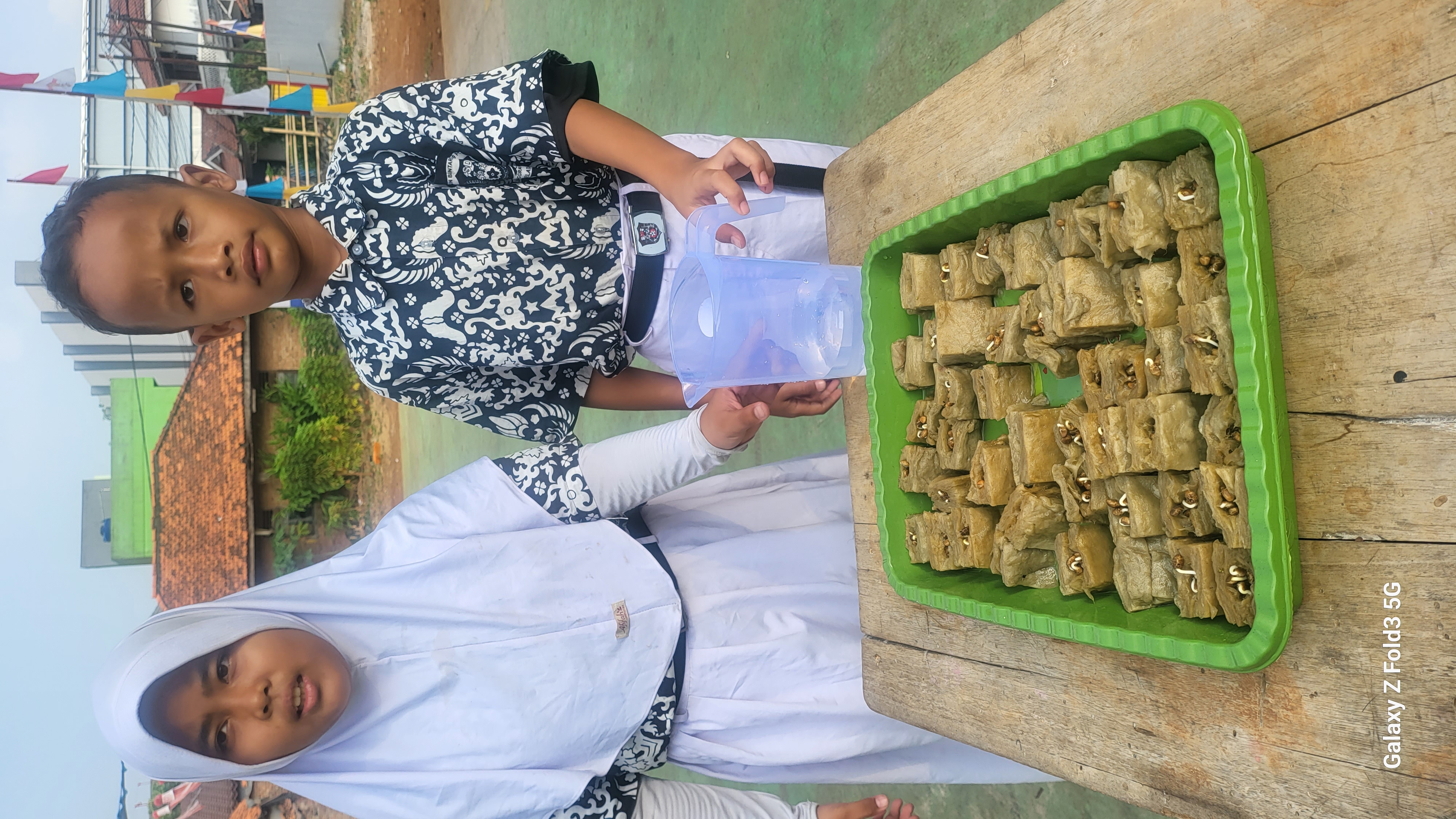 Lahan Urban Farming SDN Bintaro 09 - Gambar 194