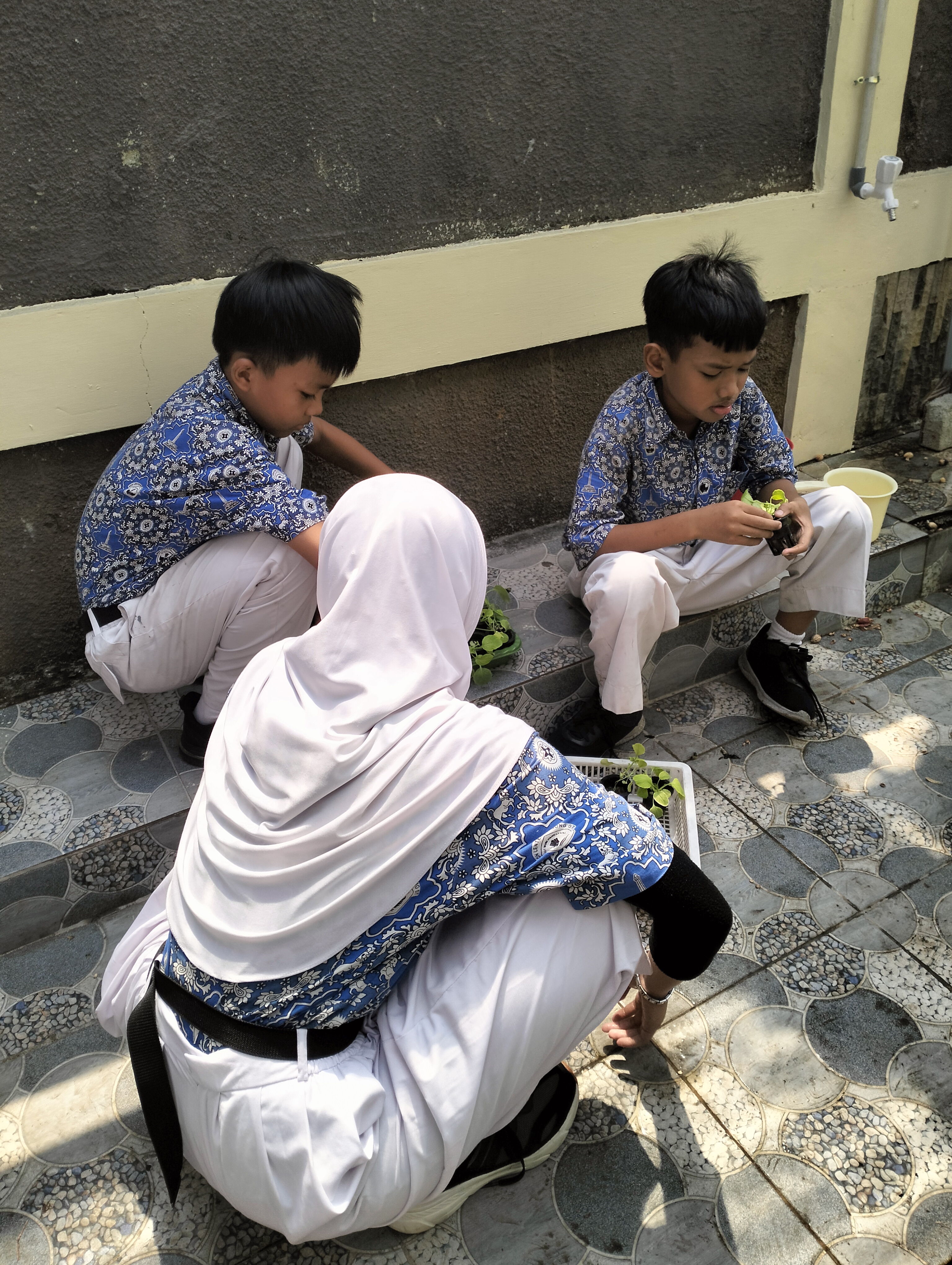 Lahan Urban Farming SDN Lenteng Agung 07 Jakarta - Gambar 104