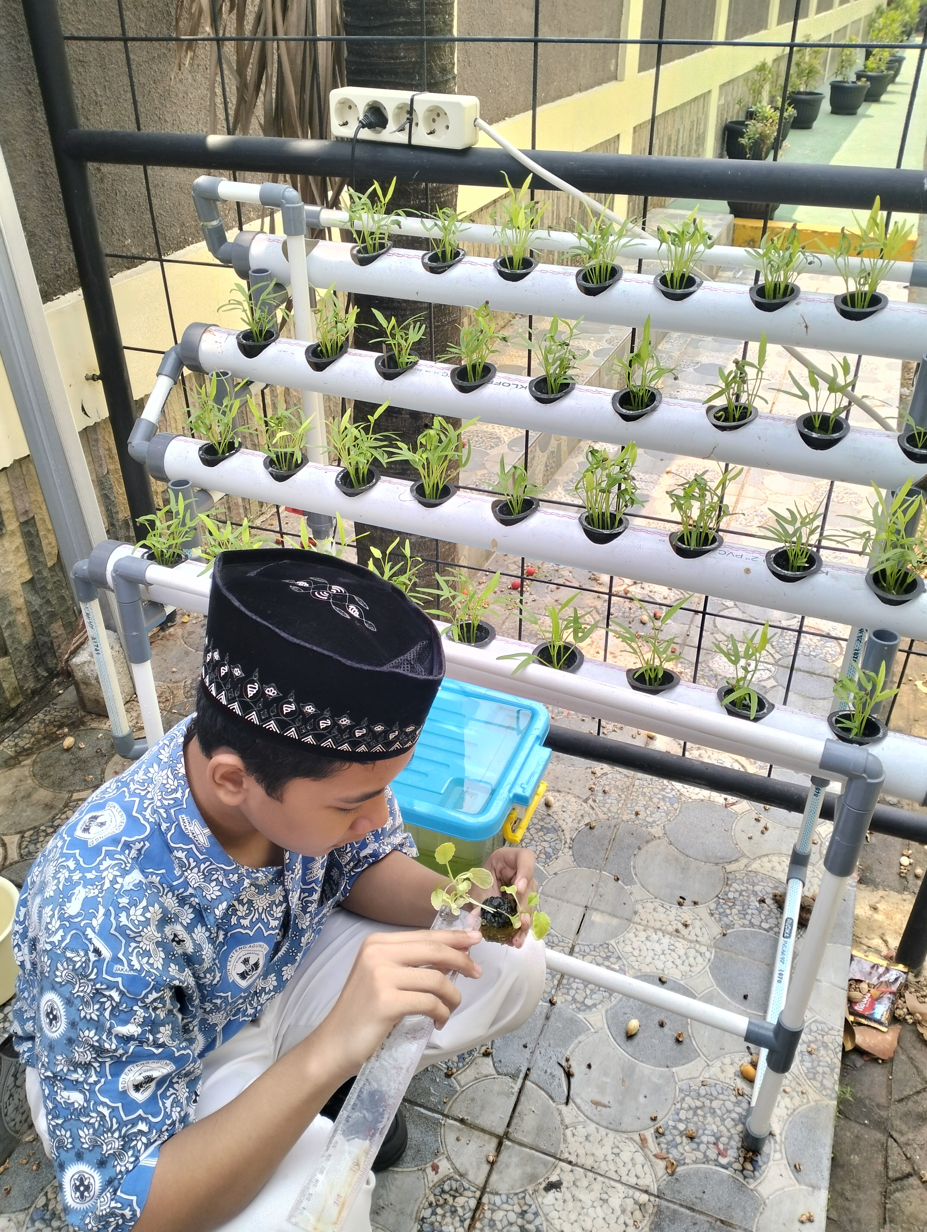 Lahan Urban Farming SDN Lenteng Agung 07 Jakarta - Gambar 102