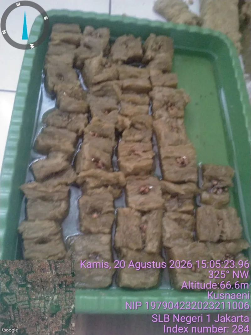 Lahan Urban Farming SLBN 01 Lebak Bulus - Gambar 76