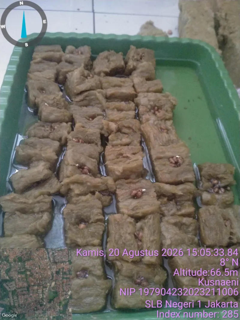 Lahan Urban Farming SLBN 01 Lebak Bulus - Gambar 75