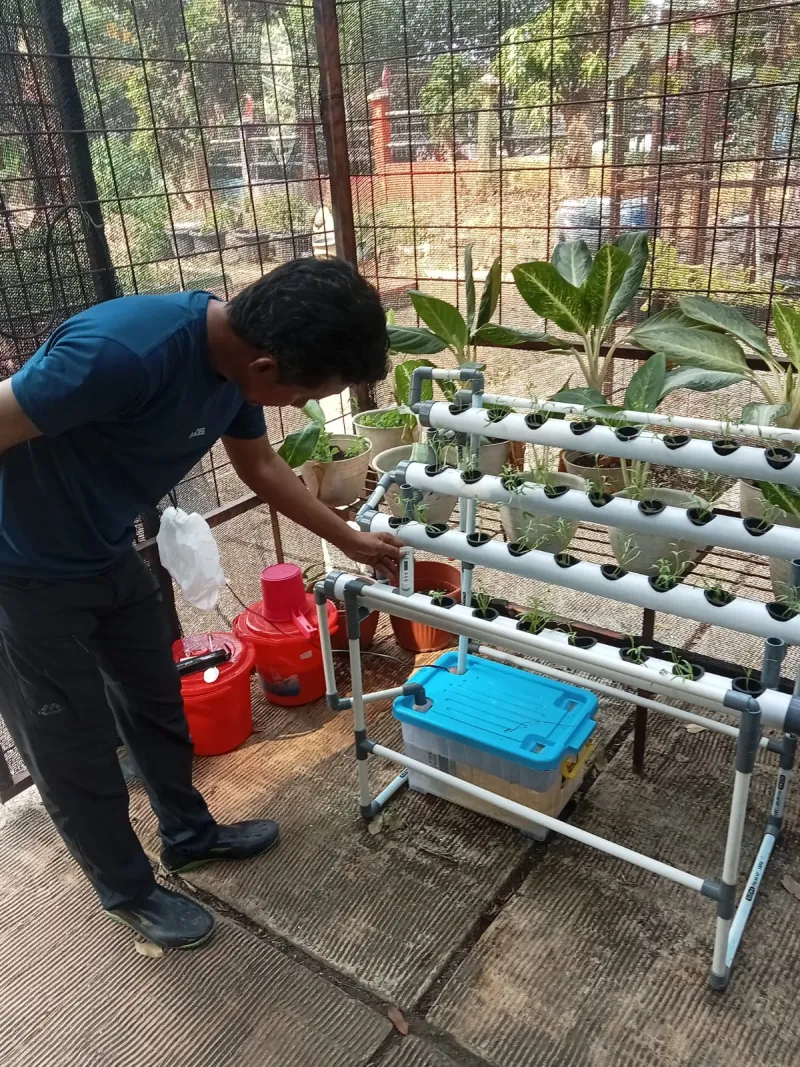 Lahan Urban Farming SMAN 109 Jakarta - Gambar 242