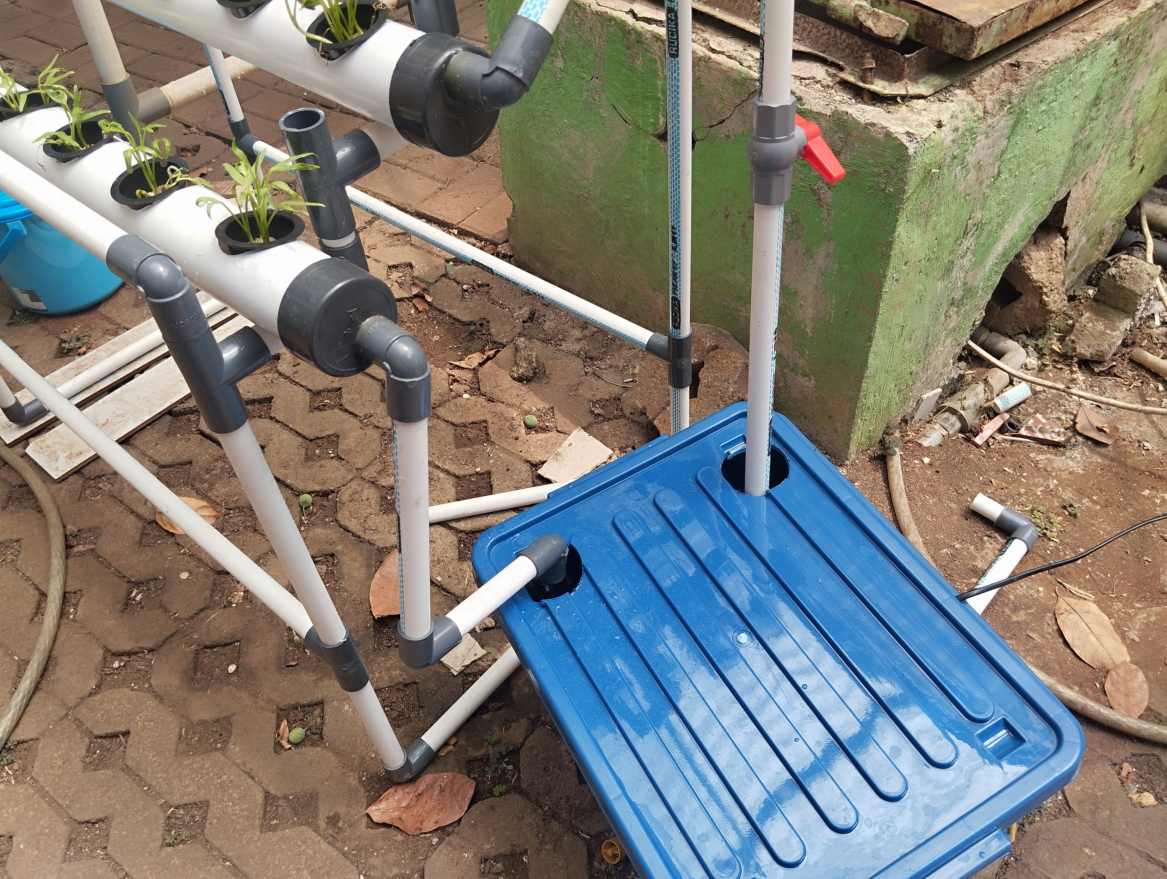 Lahan Urban Farming SMAN 34 Jakarta - Gambar 86