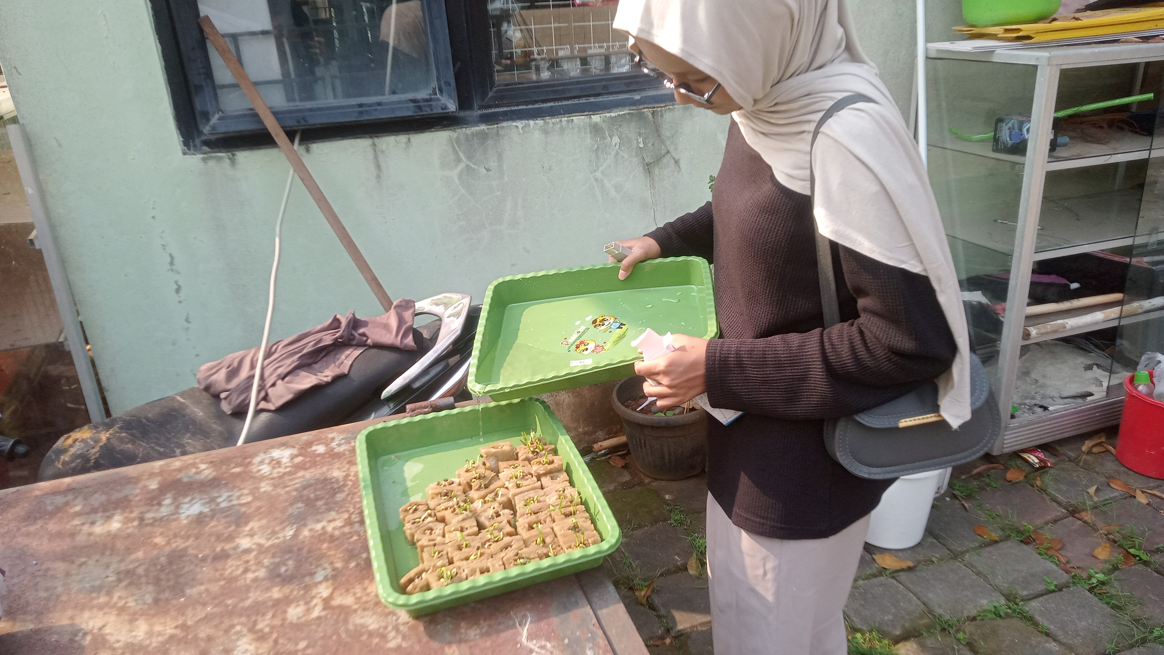 Lahan Urban Farming SMKN 59 Jakarta - Gambar 248