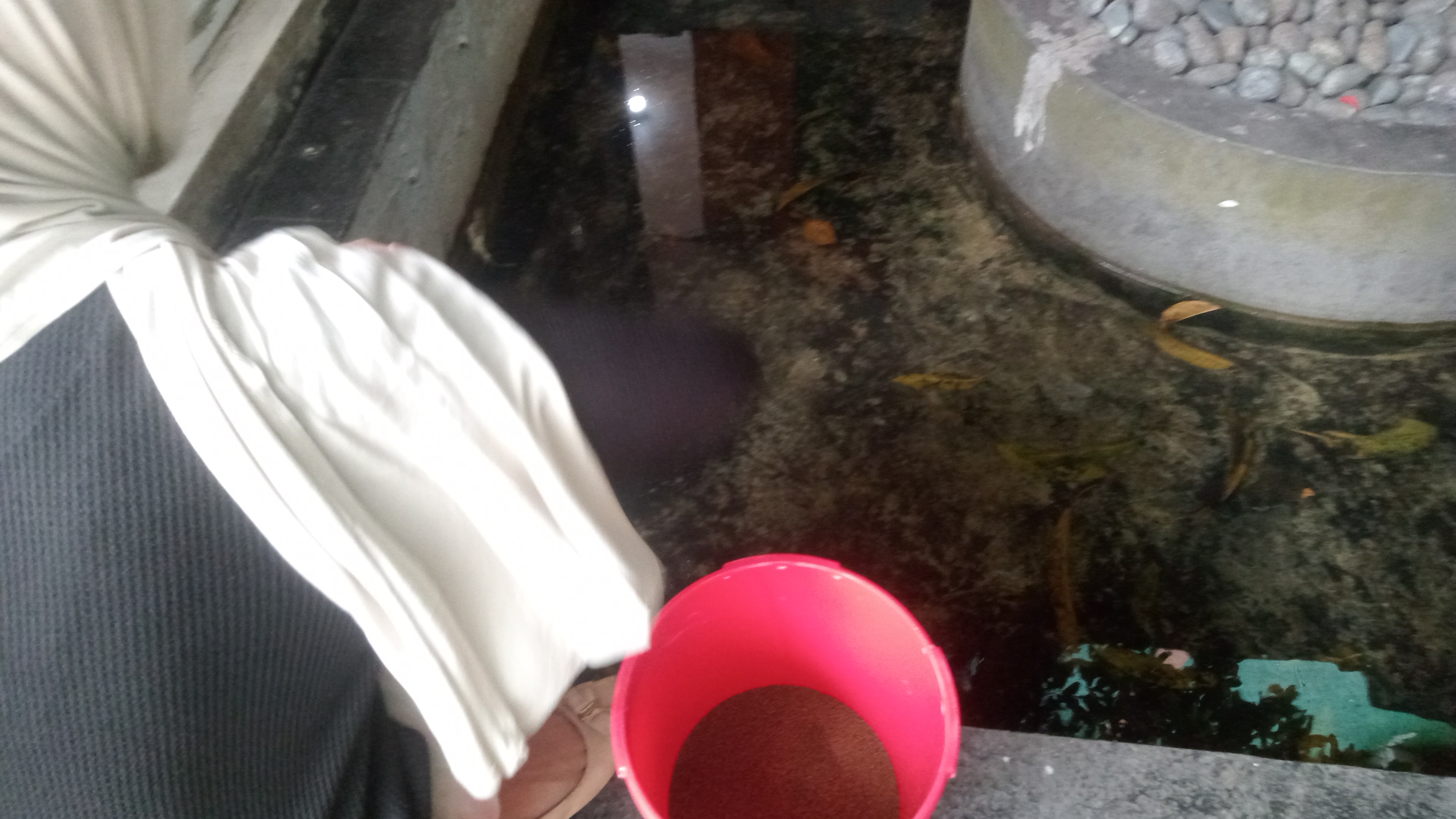 Lahan Urban Farming SMKN 59 Jakarta - Gambar 247