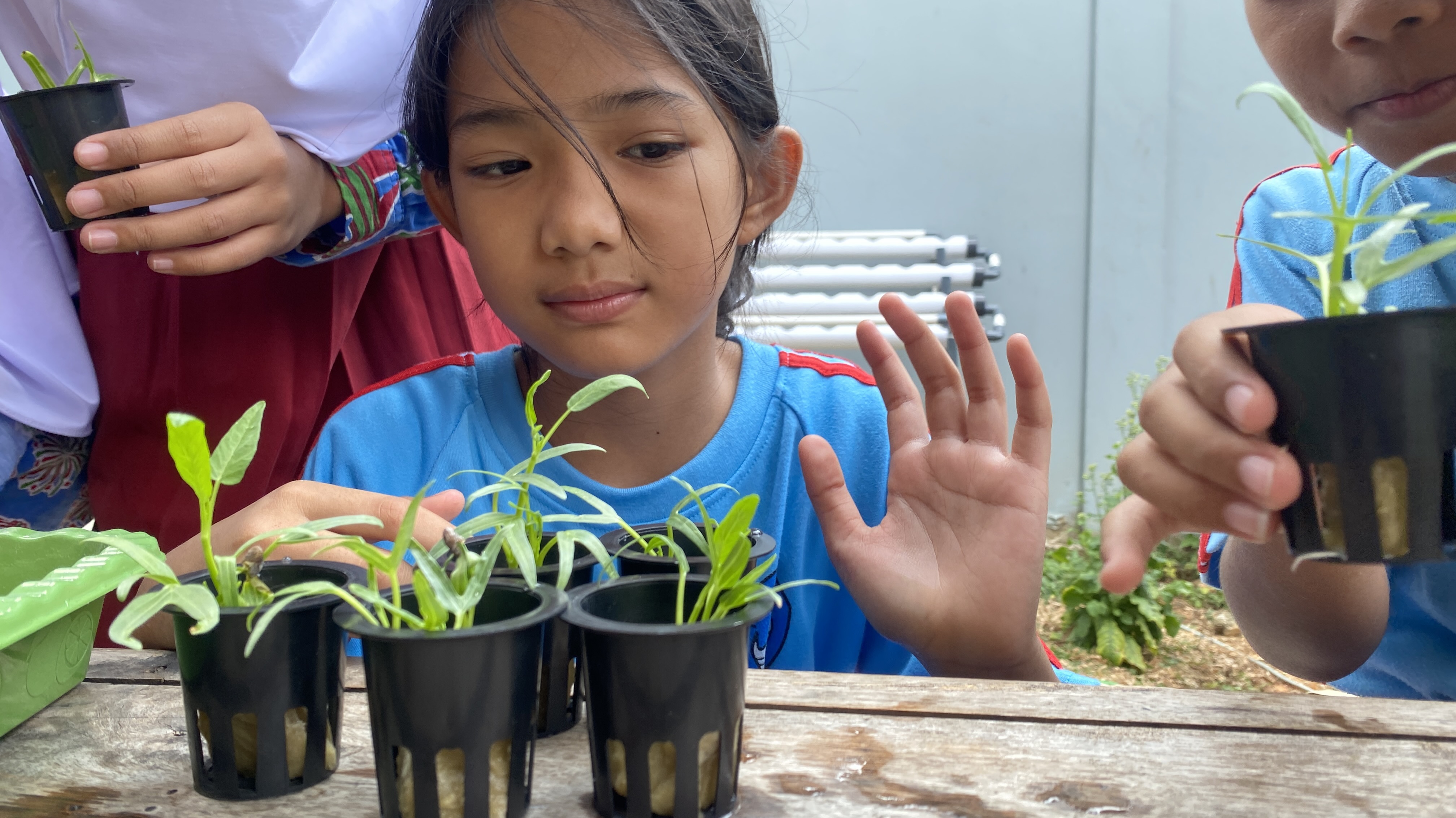 Lahan Urban Farming SDN Cipete Selatan 03 - Gambar 121