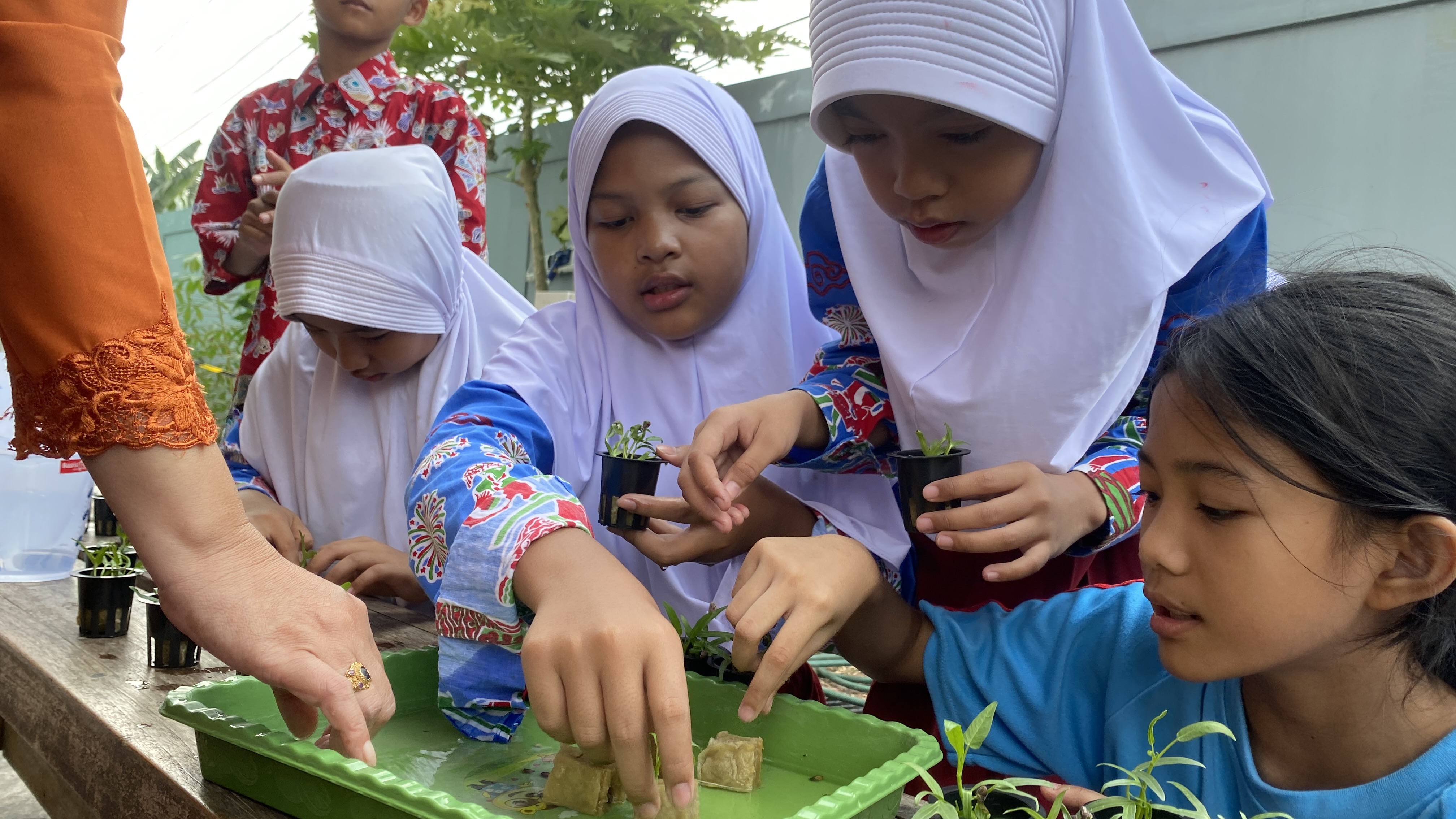 Lahan Urban Farming SDN Cipete Selatan 03 - Gambar 122
