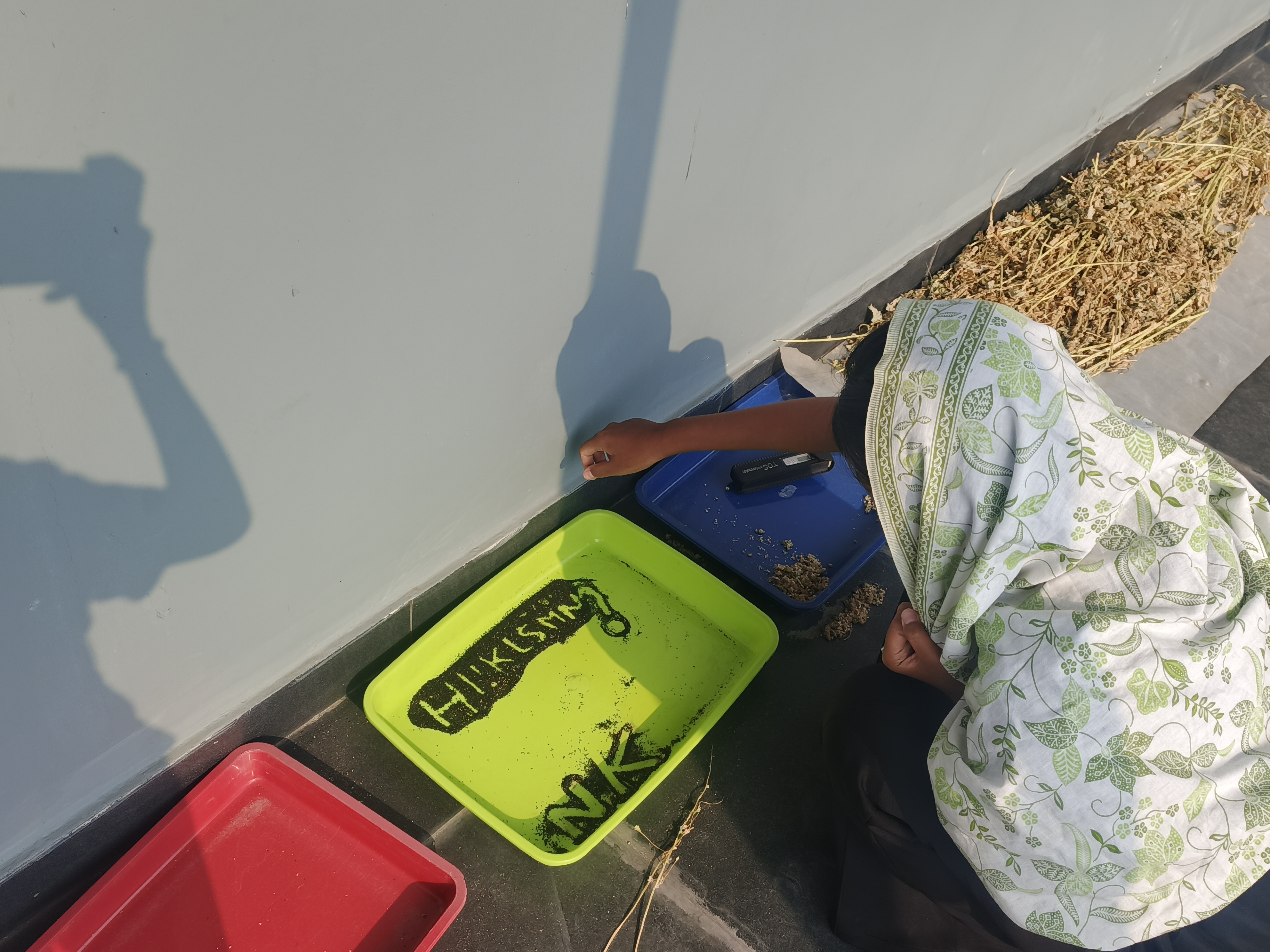 KEBUN SMKN 74 JAGAKARSA JAKARTA SELATAN - Gambar 340