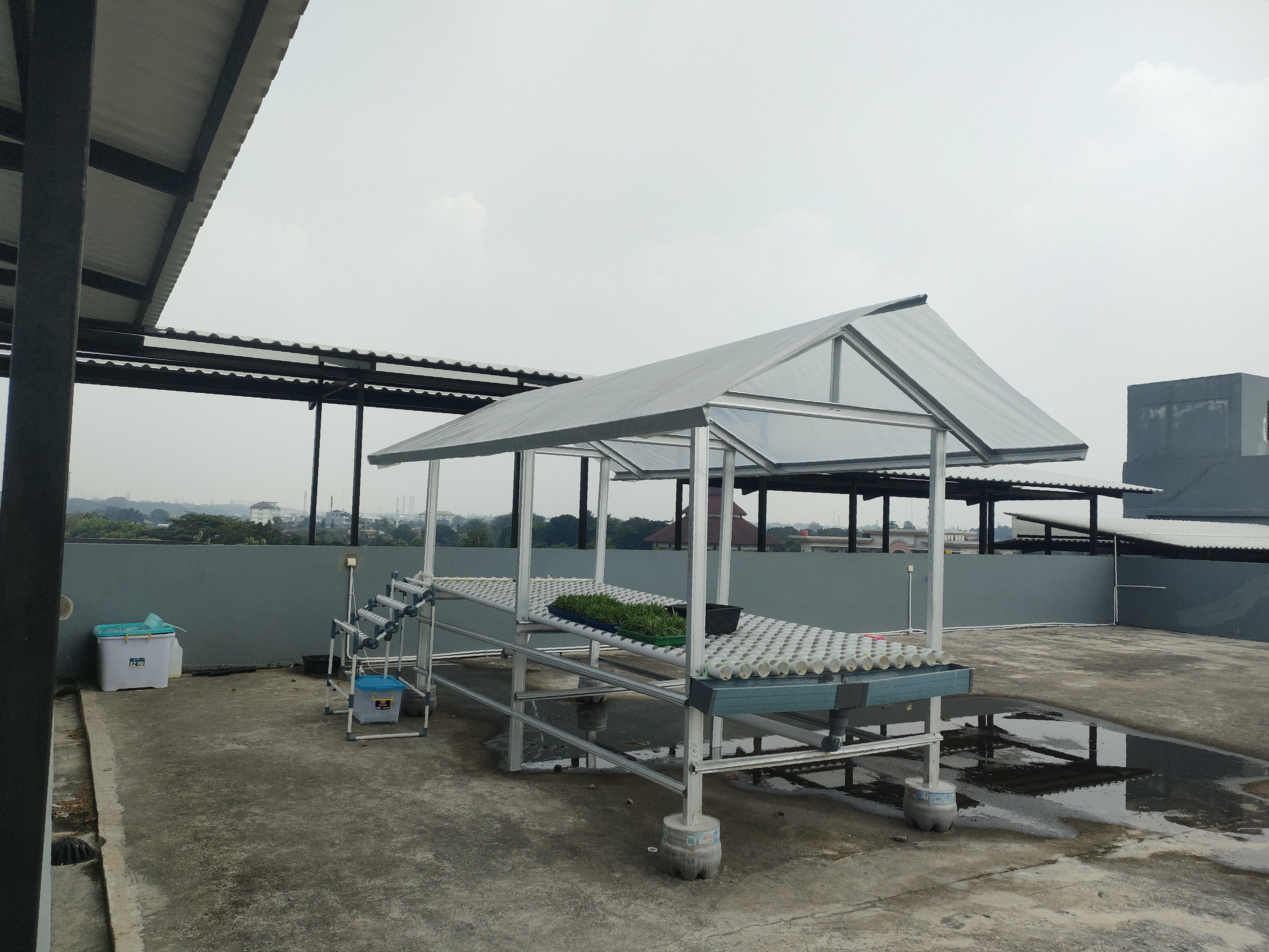 KEBUN SMKN 74 JAGAKARSA JAKARTA SELATAN - Gambar 329