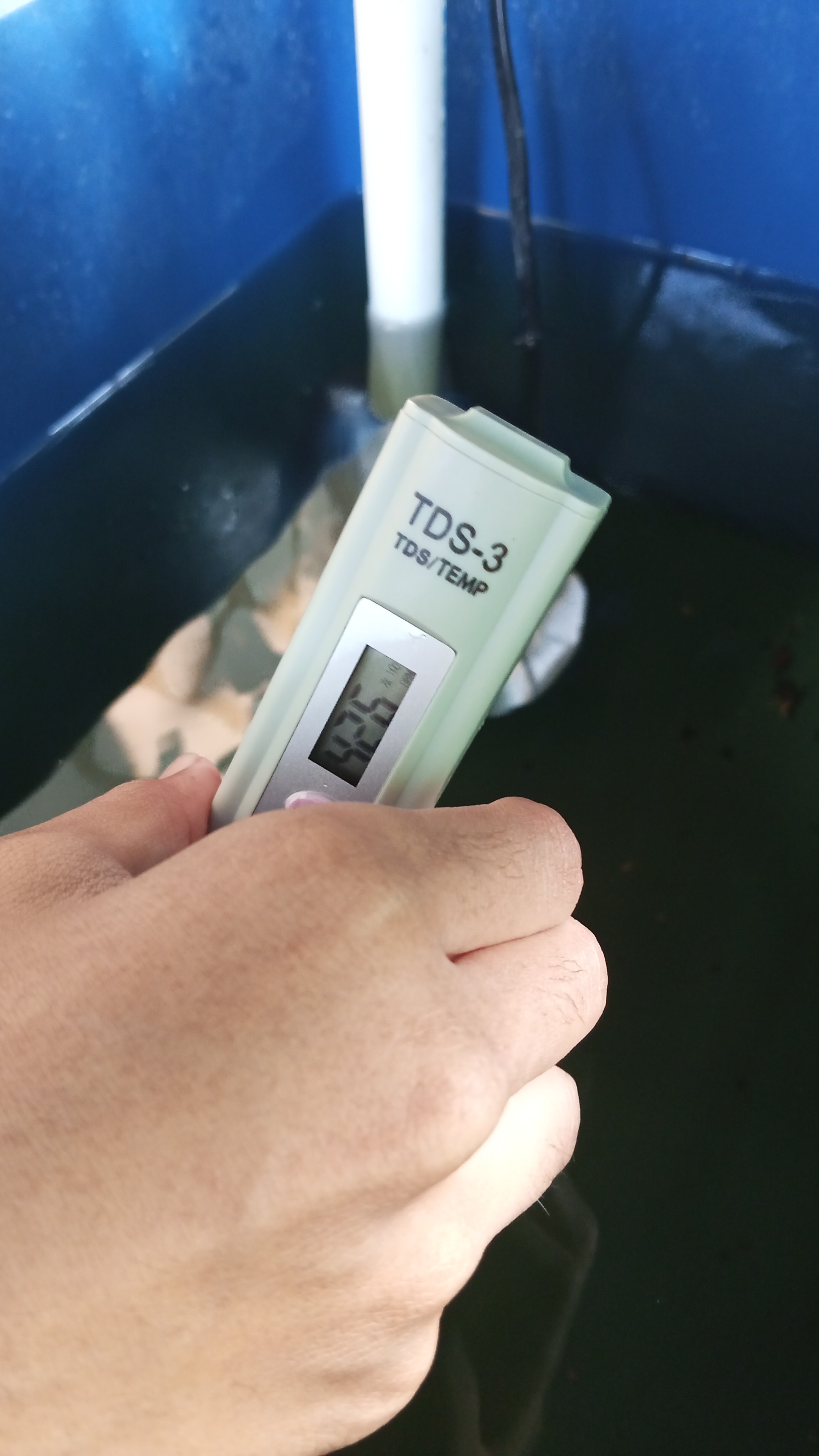 Lahan Urban Farming SMKN 20 Jakarta - Gambar 114