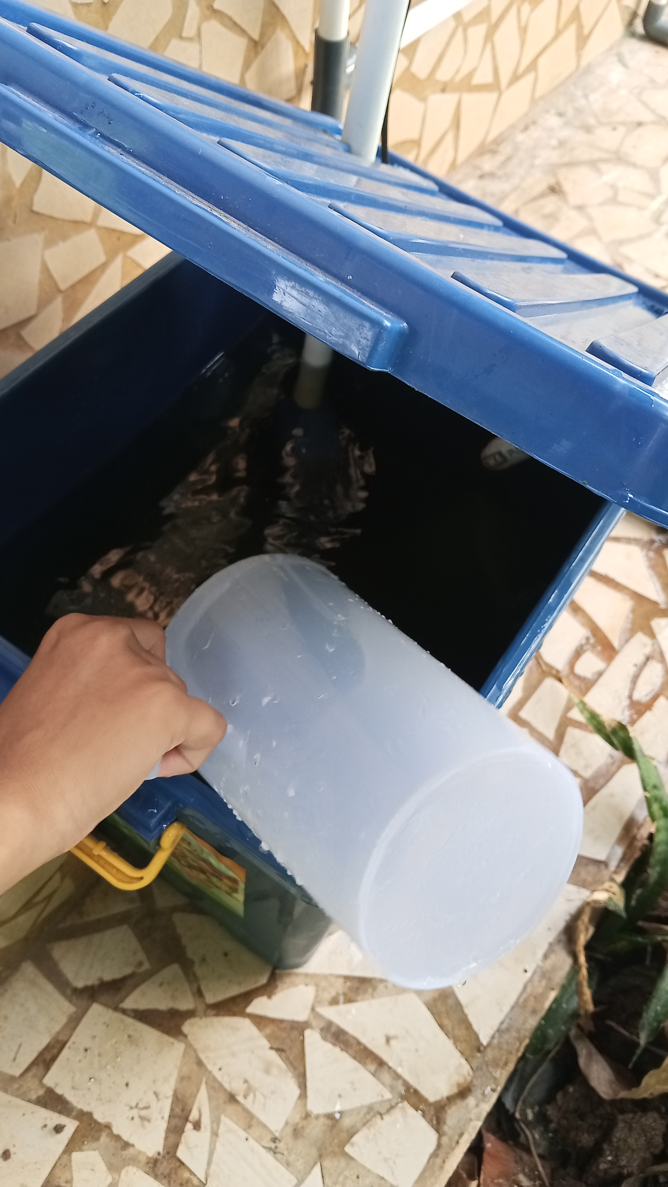 Lahan Urban Farming SMKN 20 Jakarta - Gambar 113