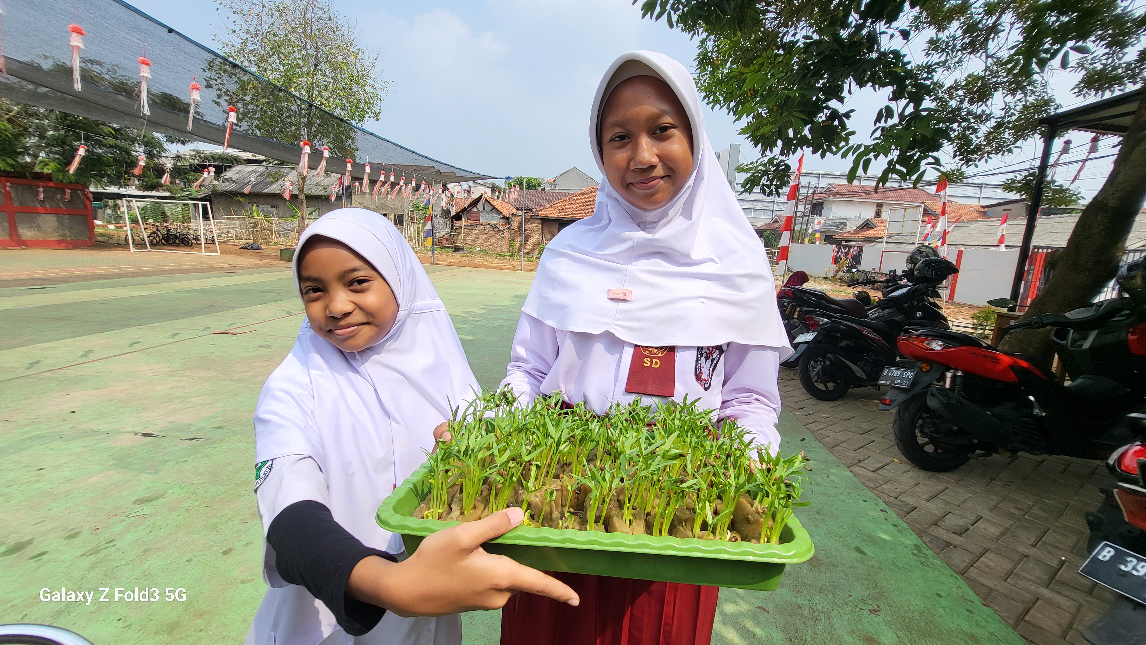 Lahan Urban Farming SDN Bintaro 09 - Gambar 183