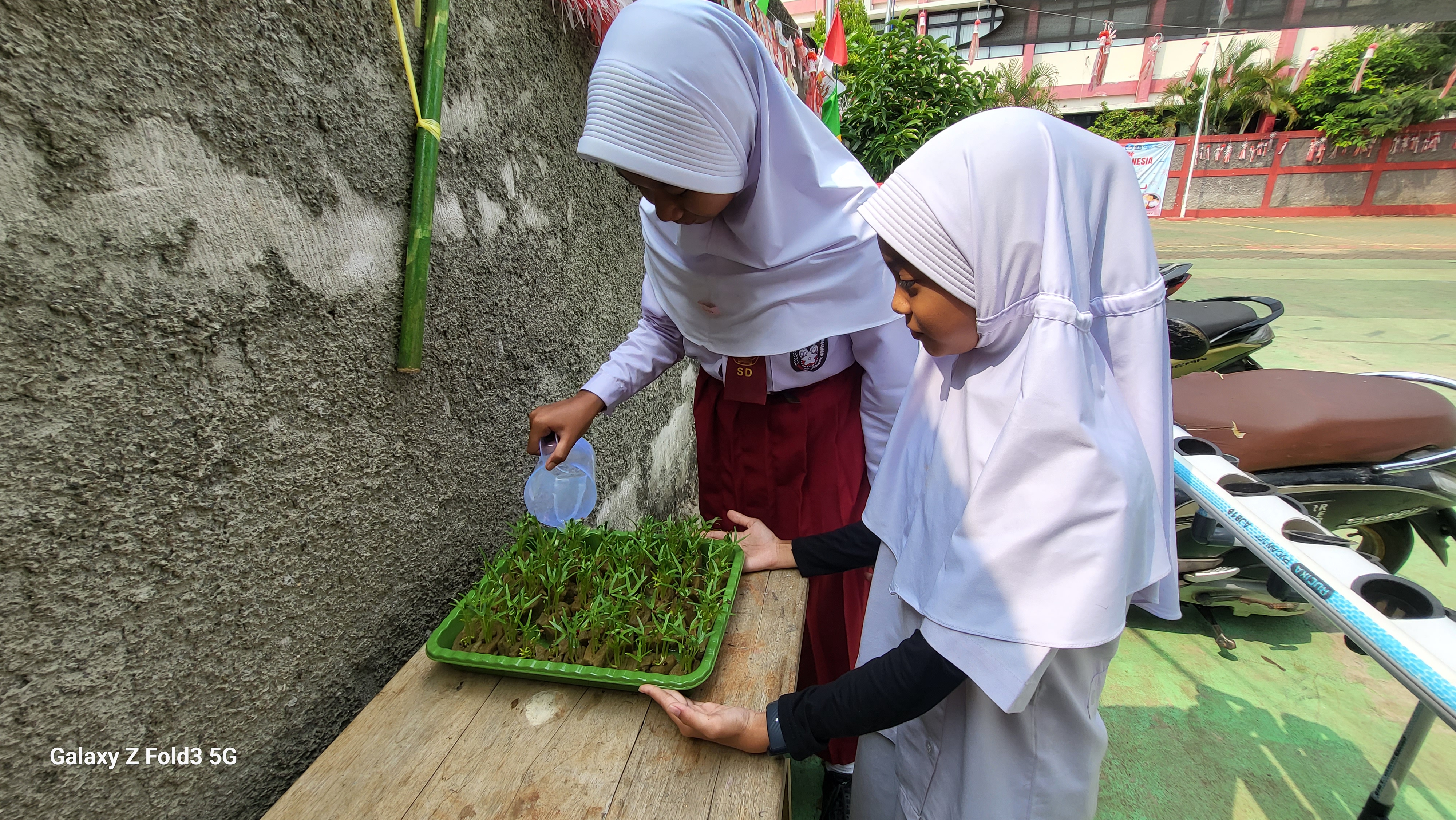 Lahan Urban Farming SDN Bintaro 09 - Gambar 184