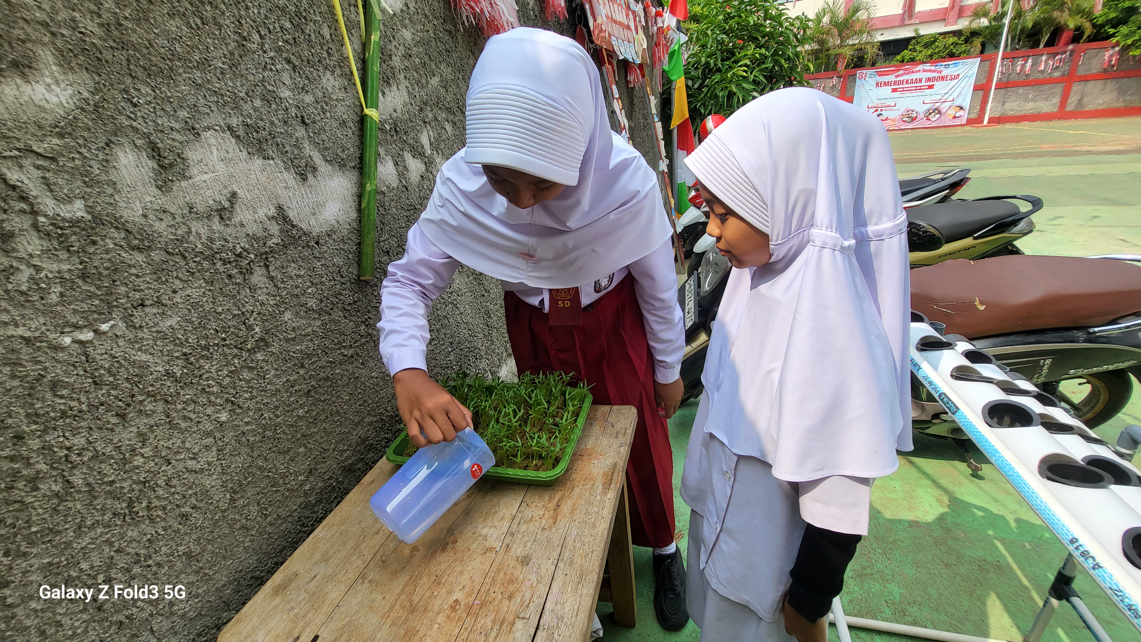 Lahan Urban Farming SDN Bintaro 09 - Gambar 185