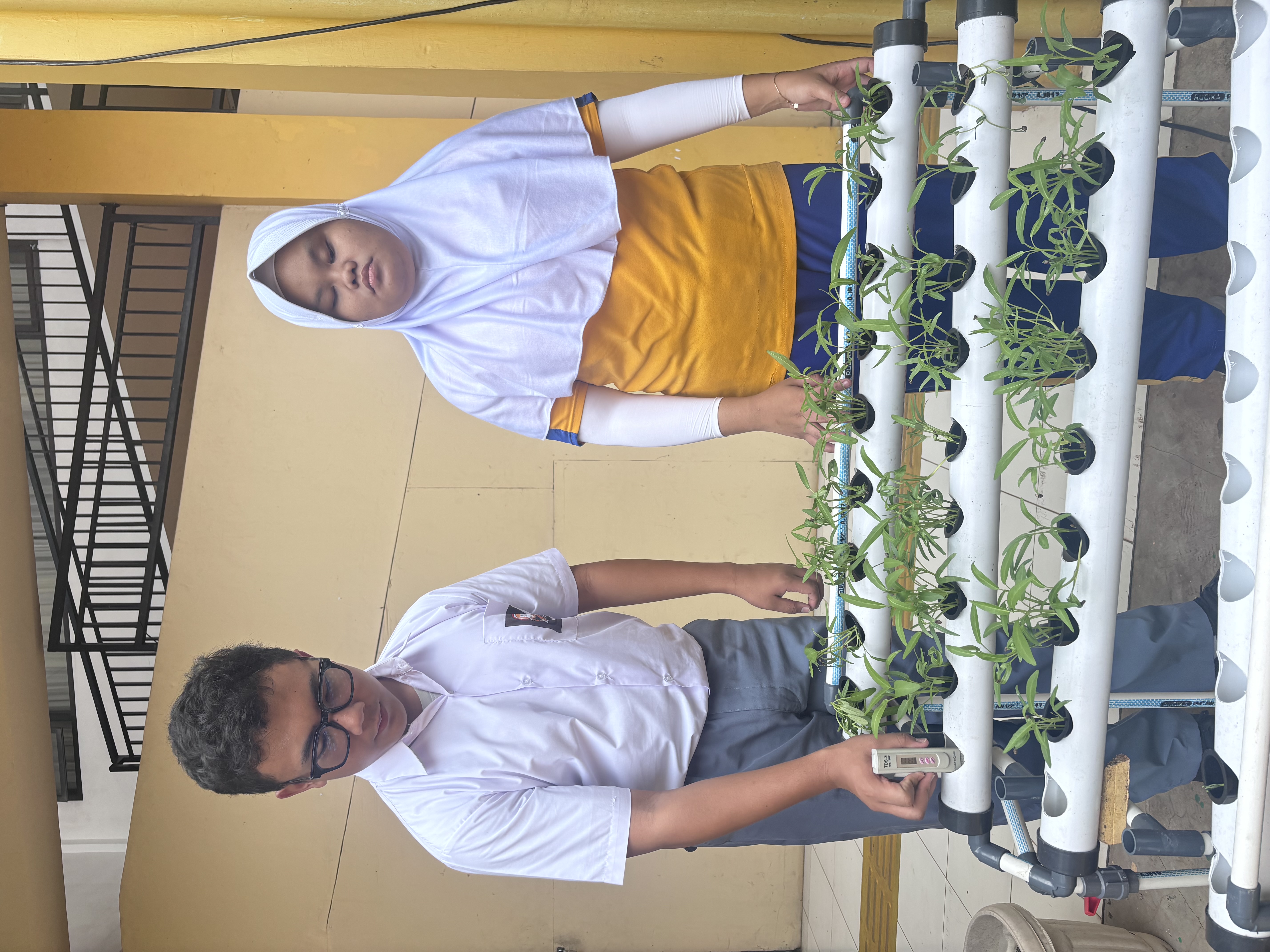 Lahan Urban Farming SLB A Pembina Tingkat Nasional - Gambar 124