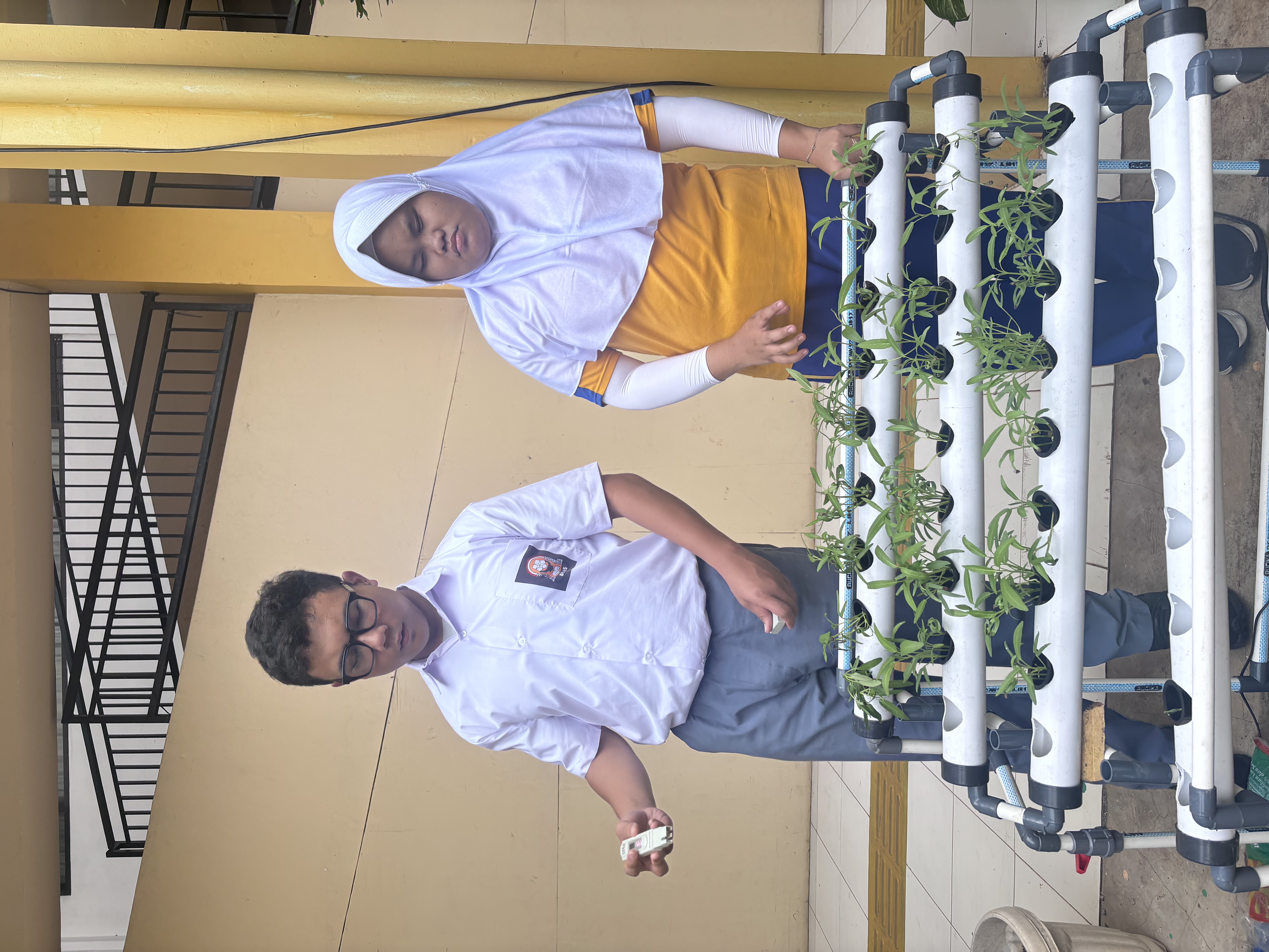 Lahan Urban Farming SLB A Pembina Tingkat Nasional - Gambar 121