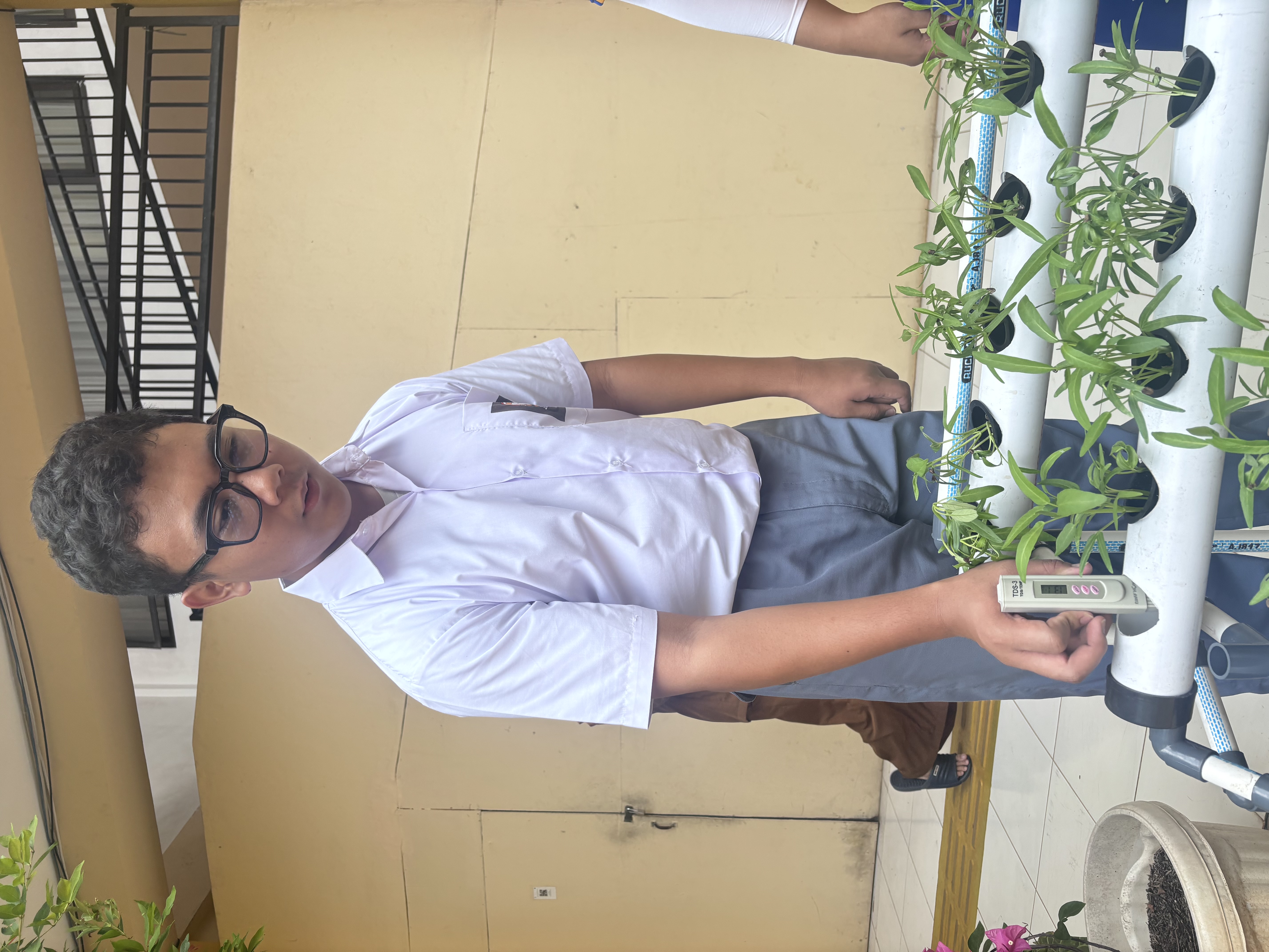 Lahan Urban Farming SLB A Pembina Tingkat Nasional - Gambar 122