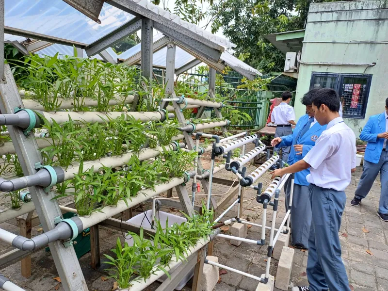 Lahan Urban Farming SMKN 59 Jakarta - Gambar 241