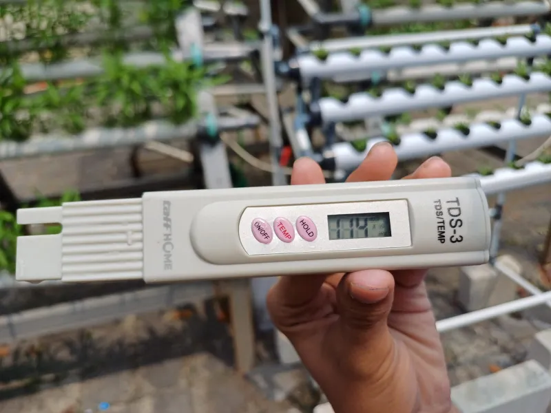 Lahan Urban Farming SMKN 59 Jakarta - Gambar 239