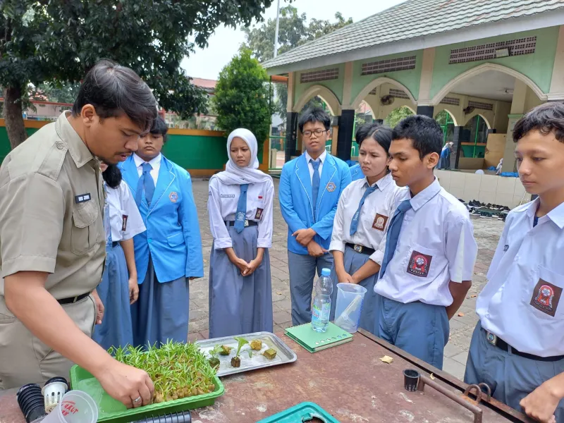 Lahan Urban Farming SMKN 59 Jakarta - Gambar 240
