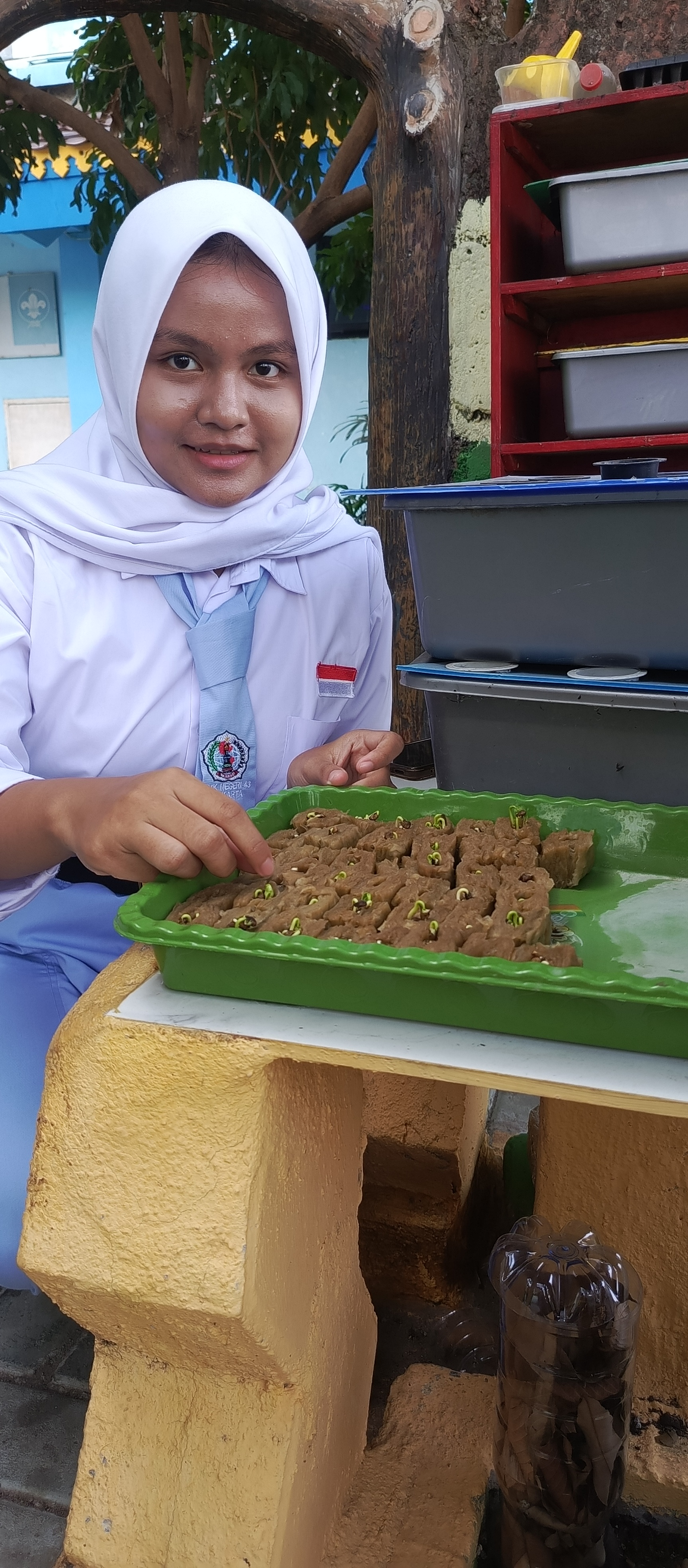 Lahan Urban Farming SMKN 43 Jakarta - Gambar 209