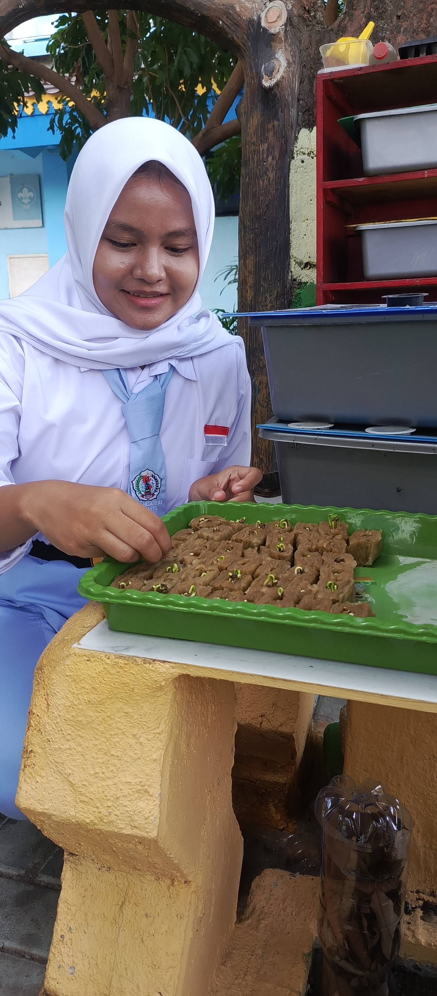 Lahan Urban Farming SMKN 43 Jakarta - Gambar 208
