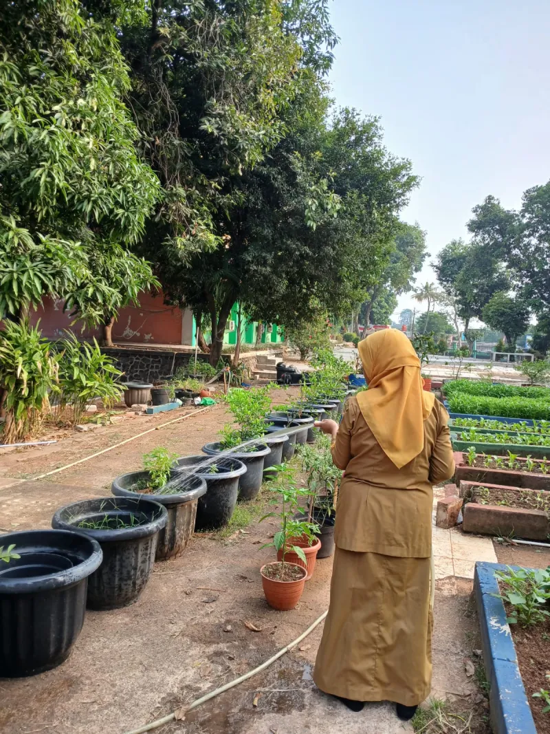 Lahan Urban Farming SMAN 109 Jakarta - Gambar 233